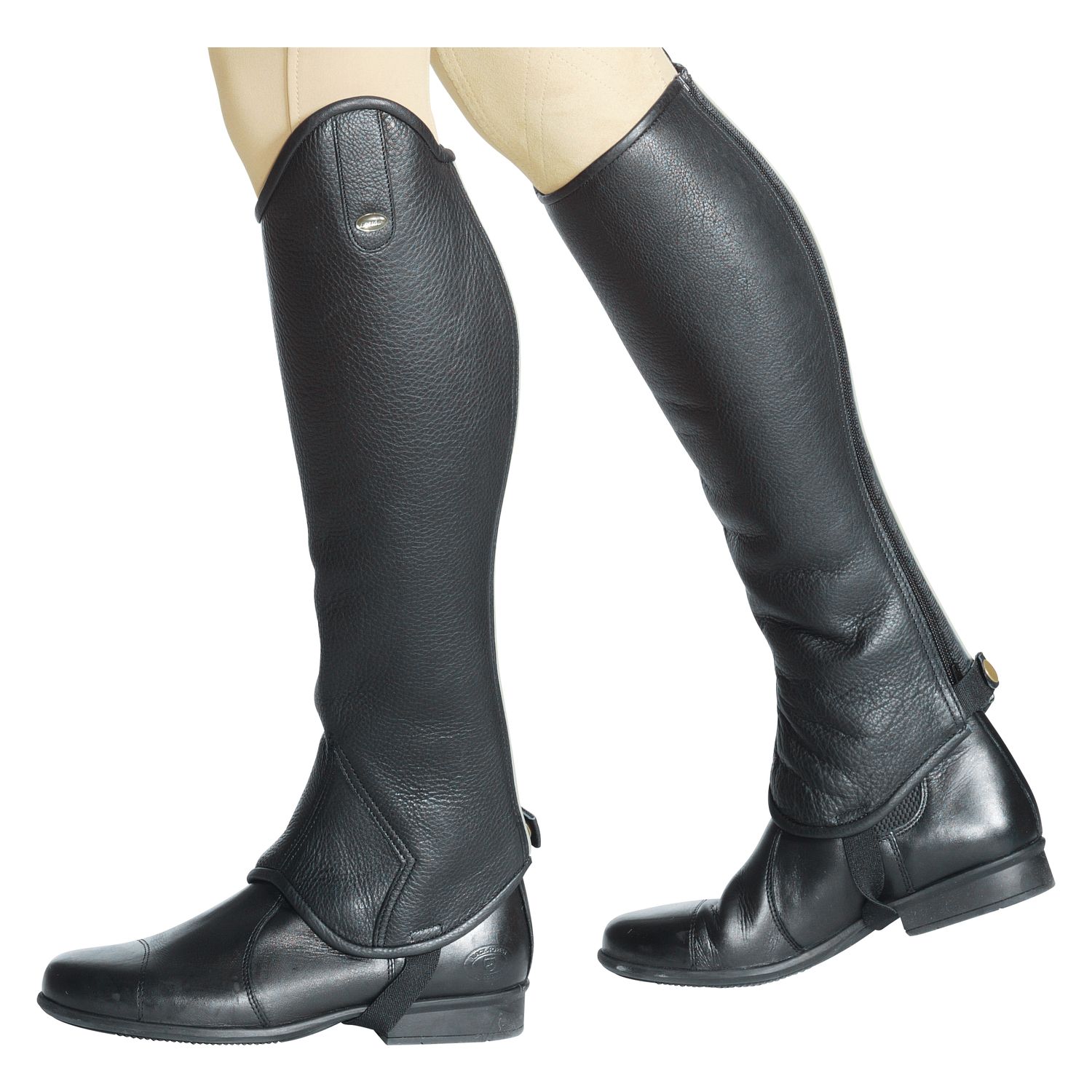 Loesdau Reitletten – Ansicht 1