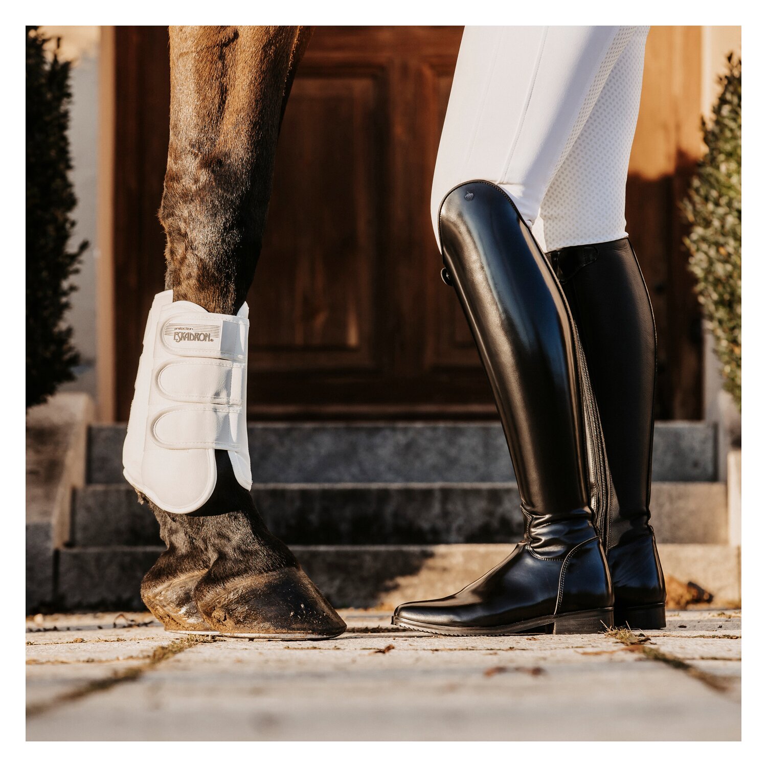 Königs Dressurstiefel Premium Nizza – Ansicht 3