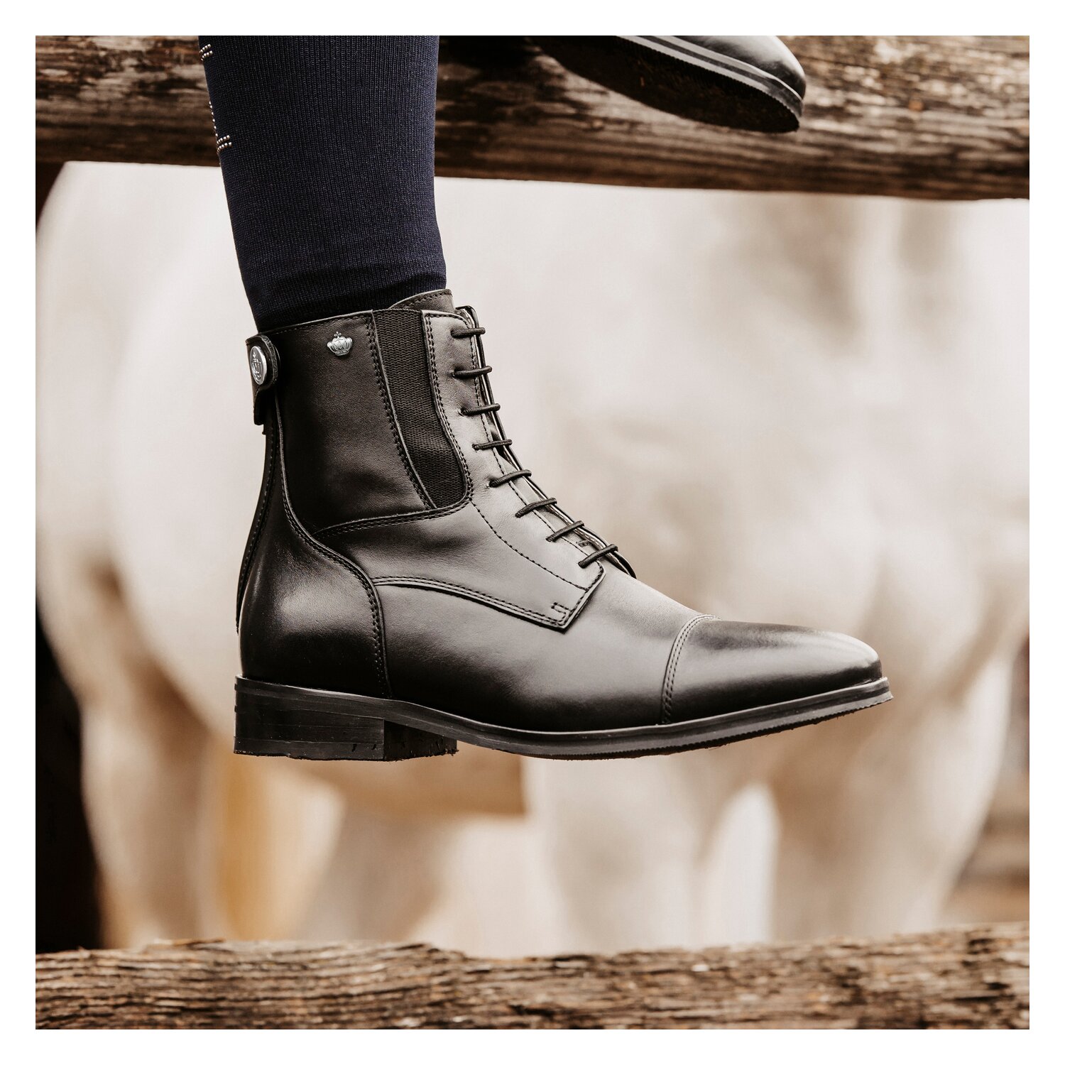 Königs Stiefelette Genf – Ansicht 7