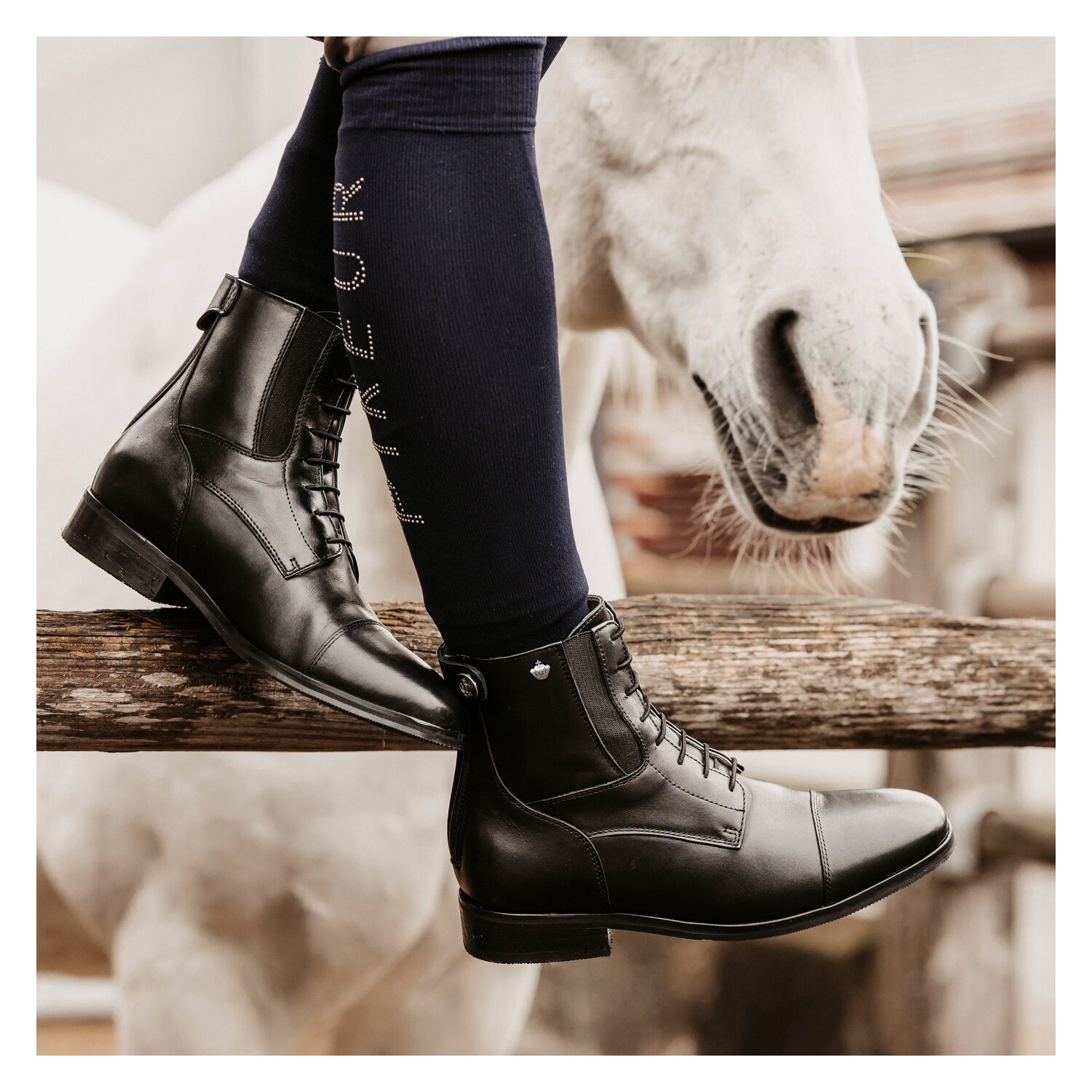 Königs Stiefelette Genf – Ansicht 6