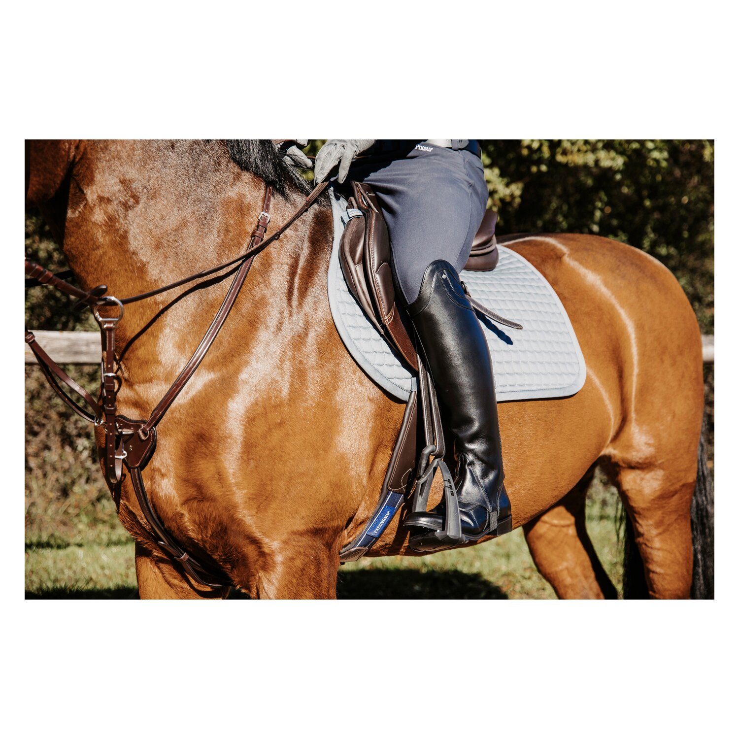 Königs Chaps Luzern – Ansicht 5