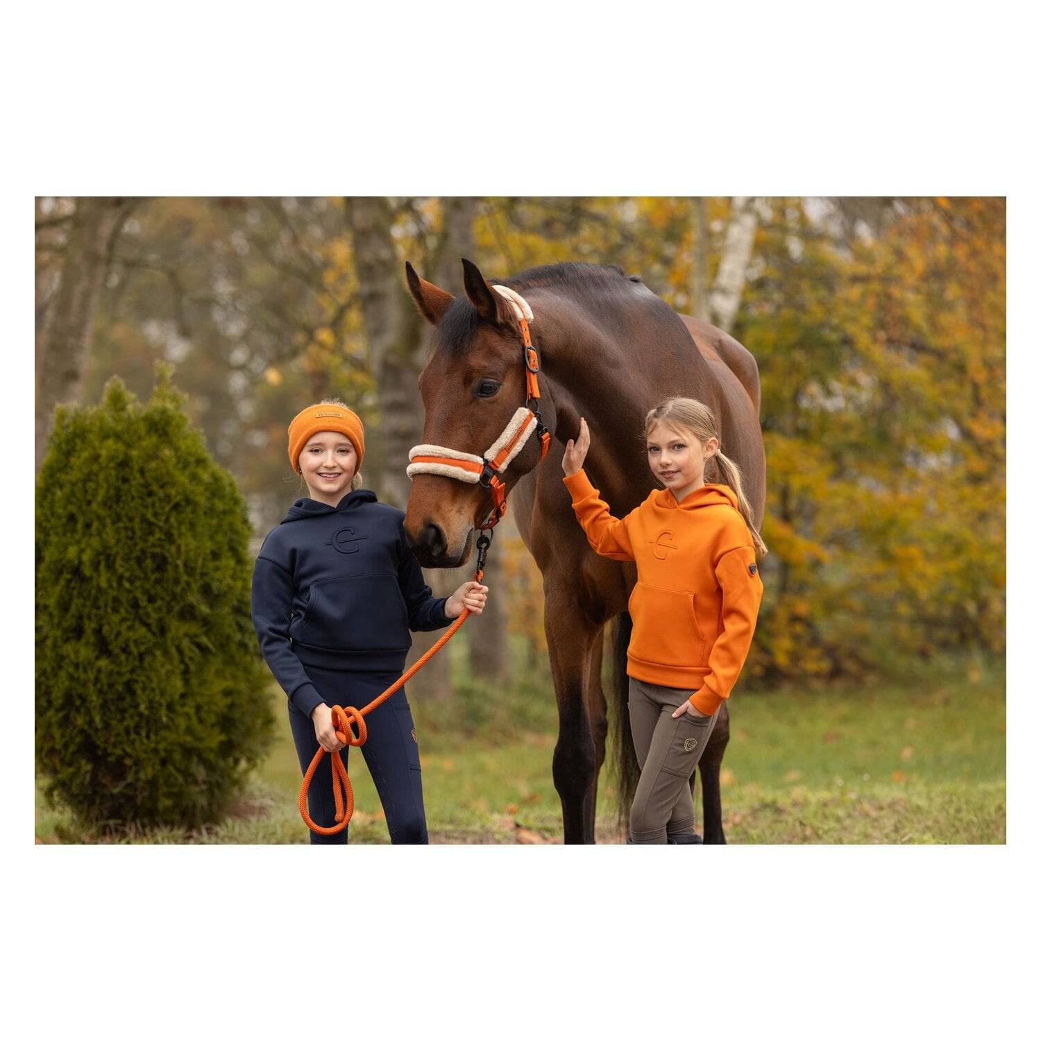 Covalliero Sweater &ndash; Ansicht 3