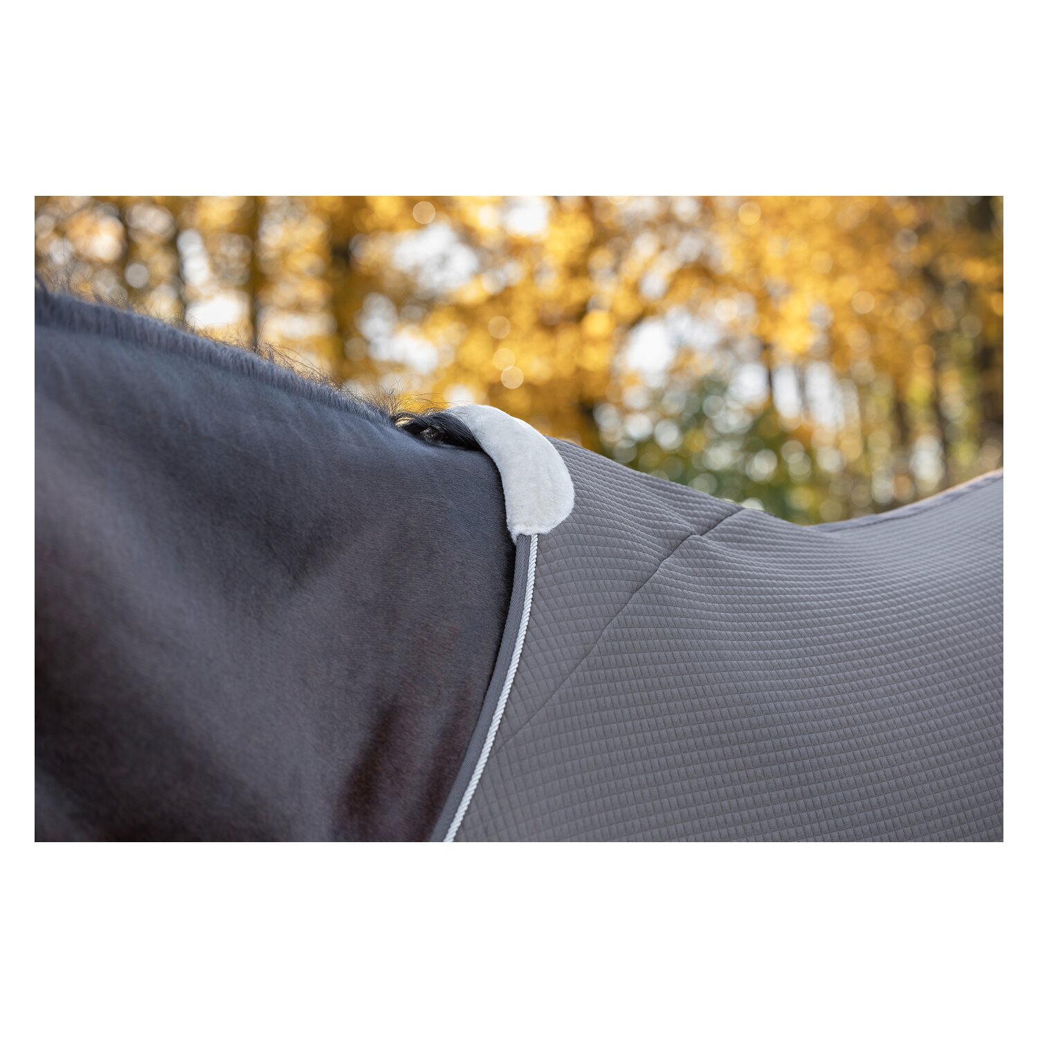 Covalliero Abschwitzdecke Premium &ndash; Ansicht 3