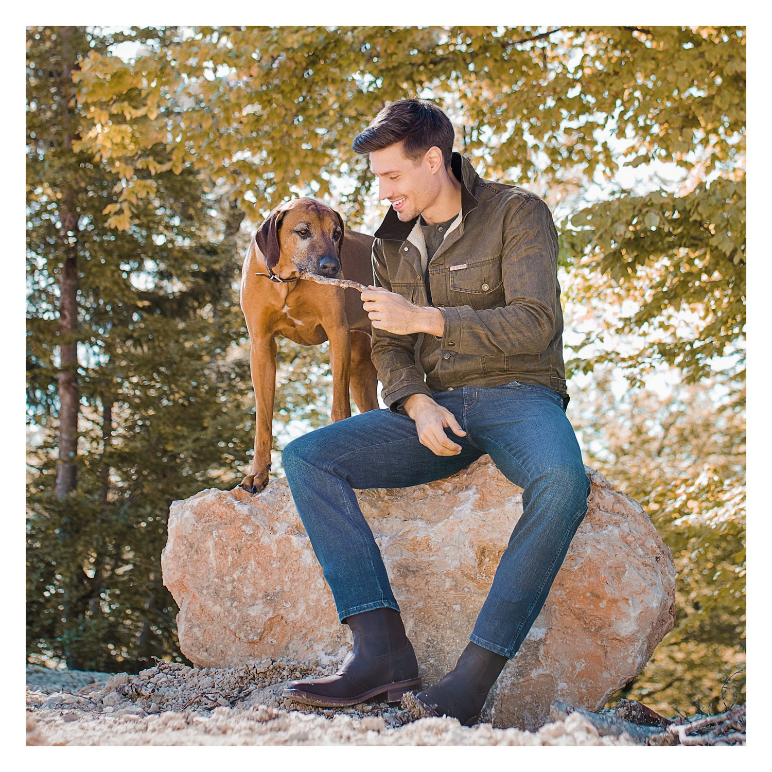 SCIPPIS JackeLitchfield Tracker – Ansicht 3