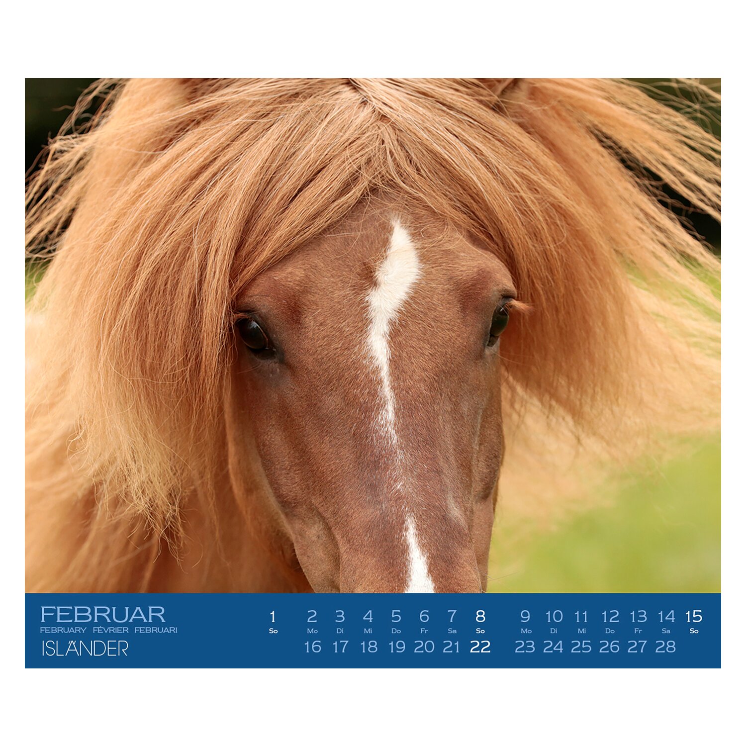 Kalender Isländer &ndash; Ansicht 2