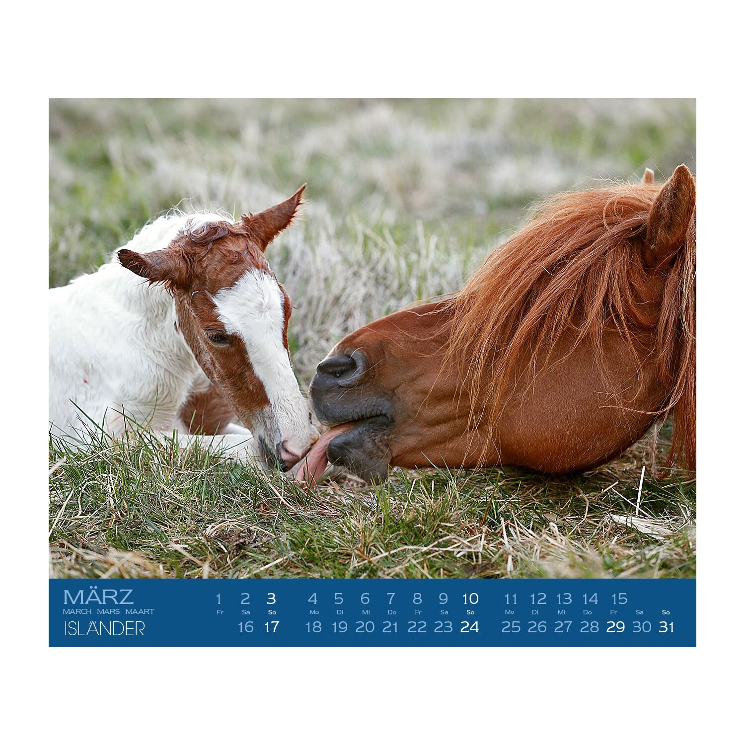 Kalender Isländer – Ansicht 3