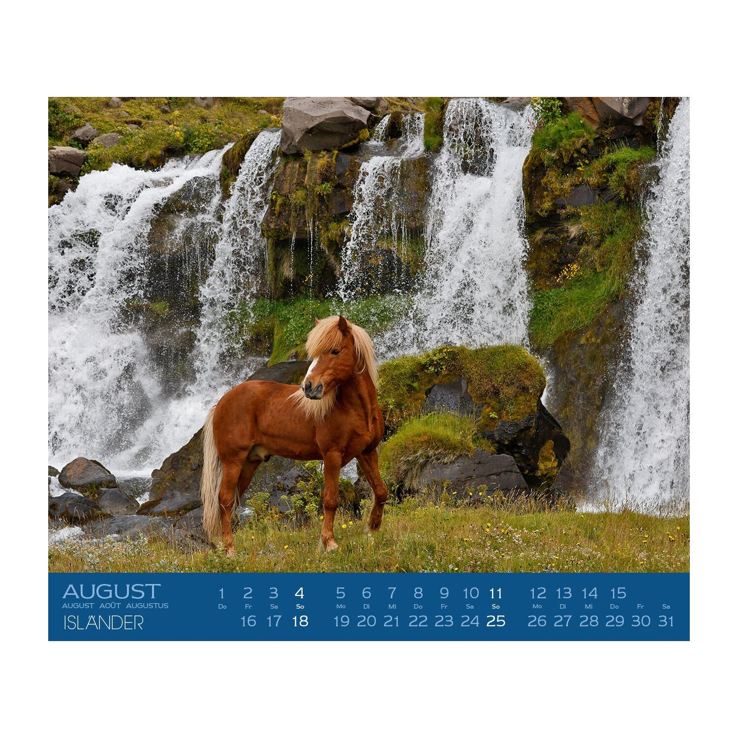 Kalender Isländer – Ansicht 6