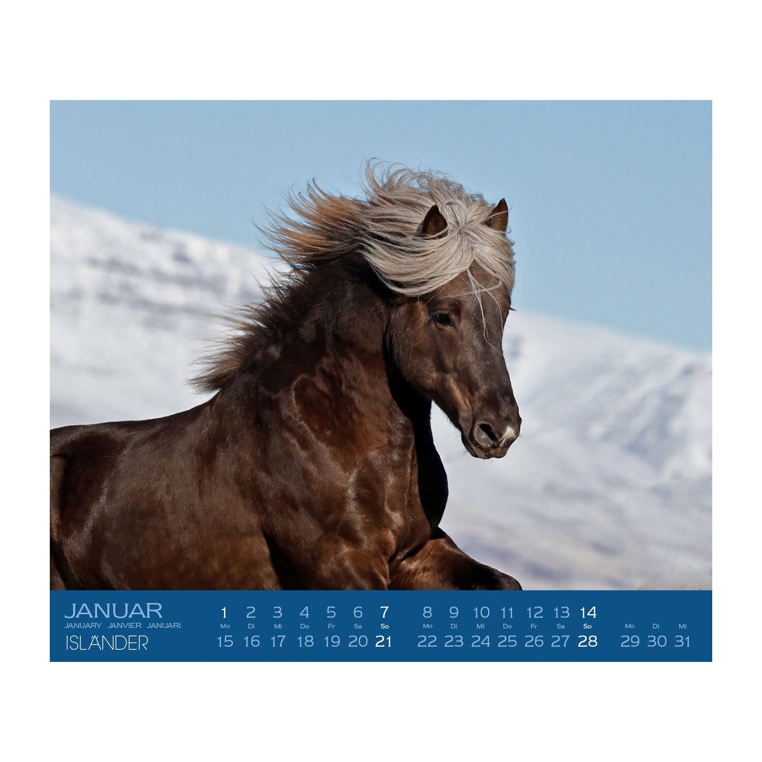 Kalender Isländer – Ansicht 2