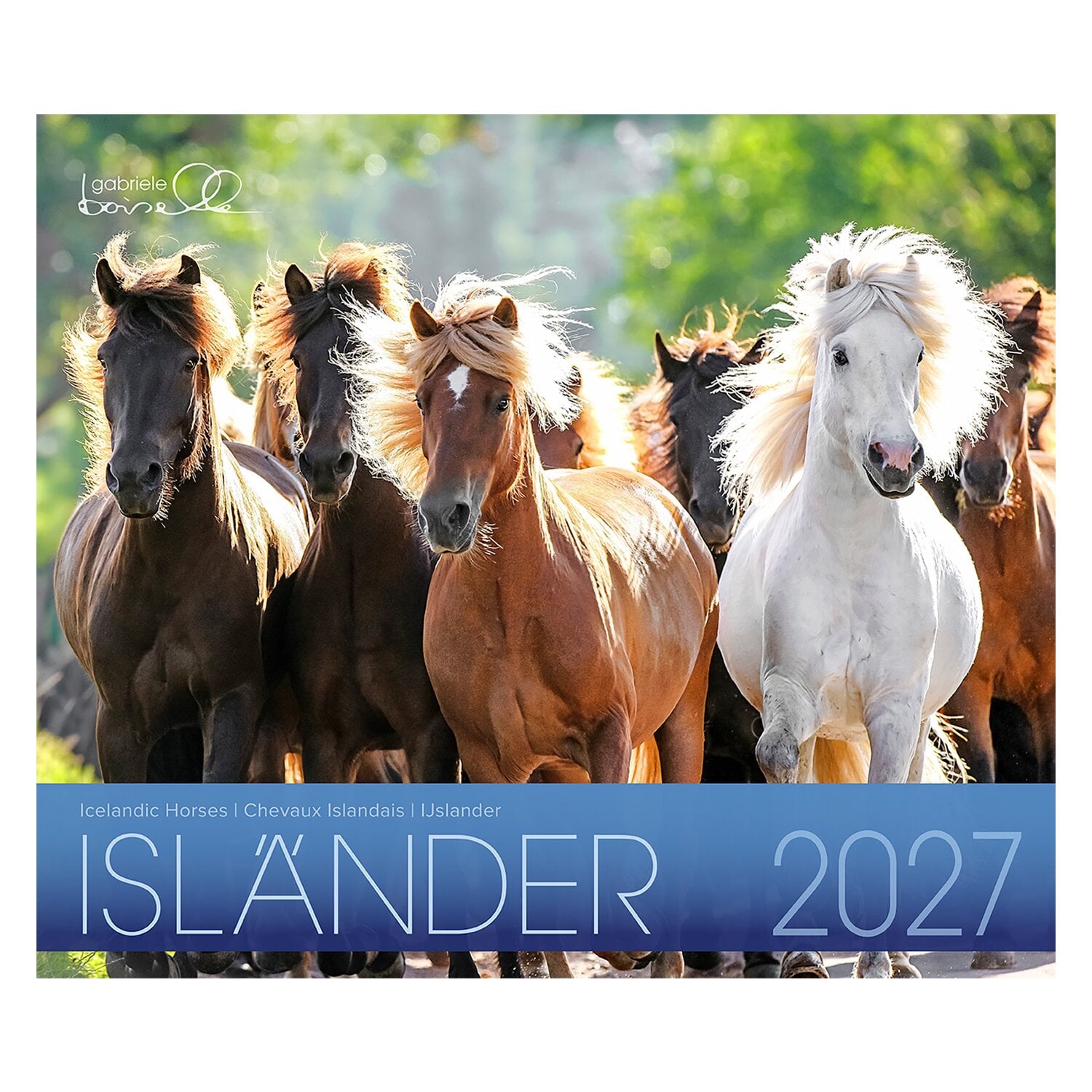 Kalender Isländer &ndash; Ansicht 1