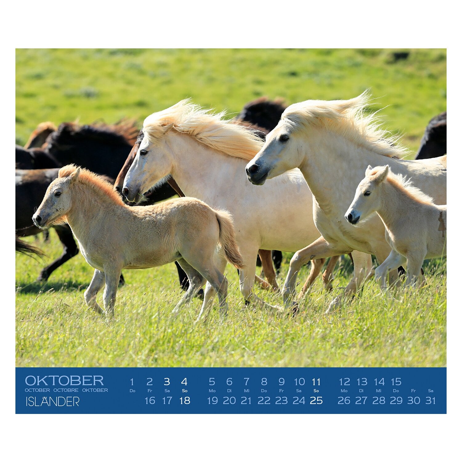 Kalender Isländer &ndash; Ansicht 4