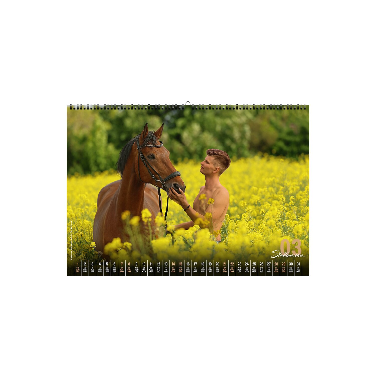 Stallburschen-Kalender – Ansicht 3