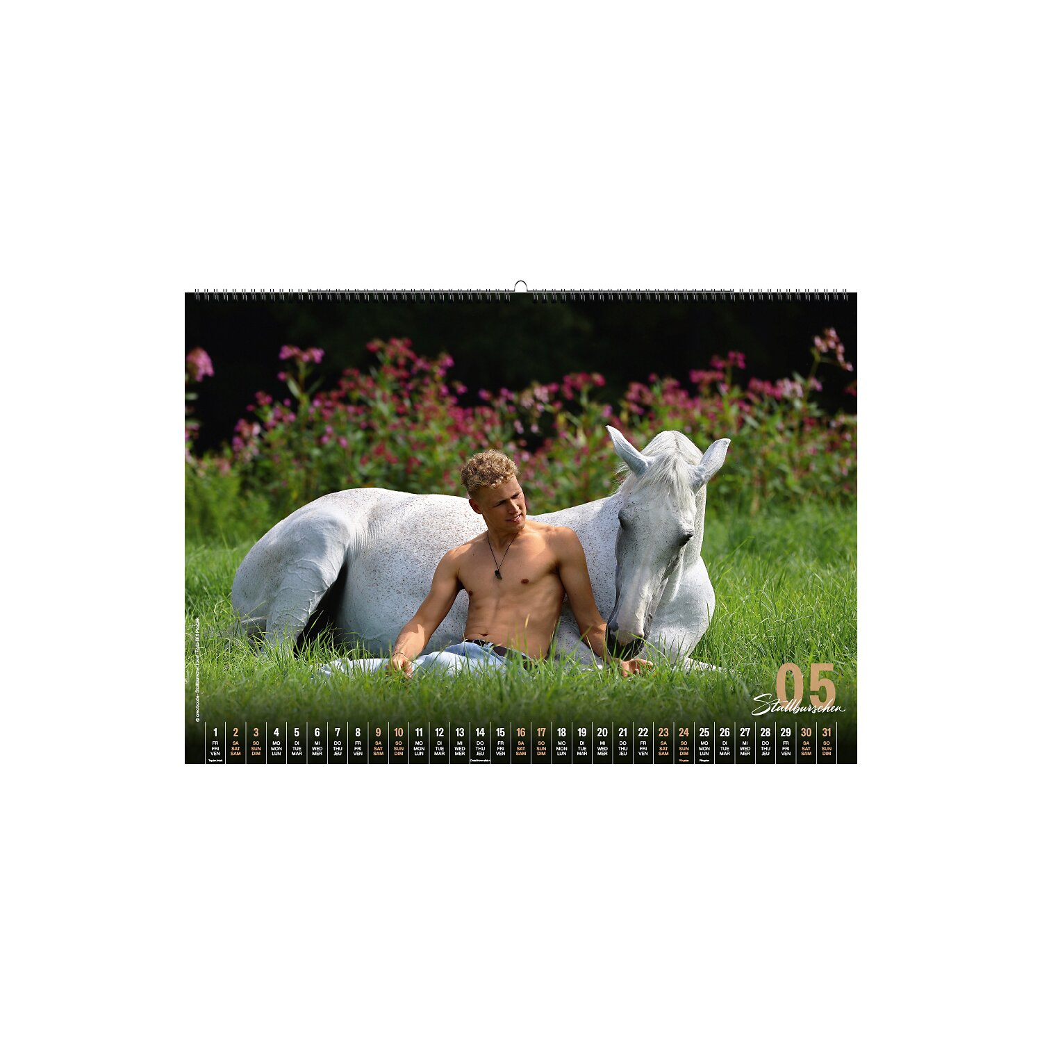 Stallburschen-Kalender – Ansicht 4