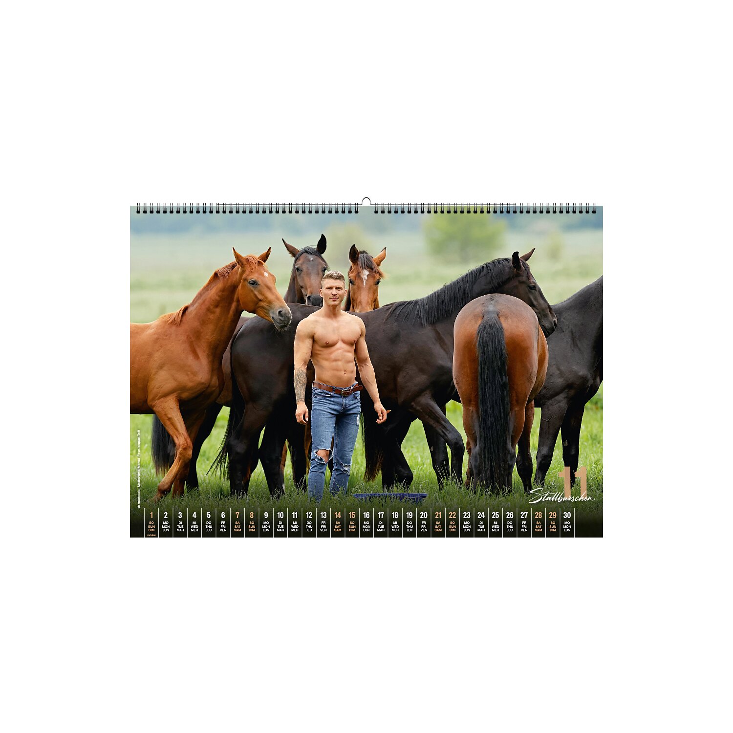 Stallburschen-Kalender – Ansicht 5