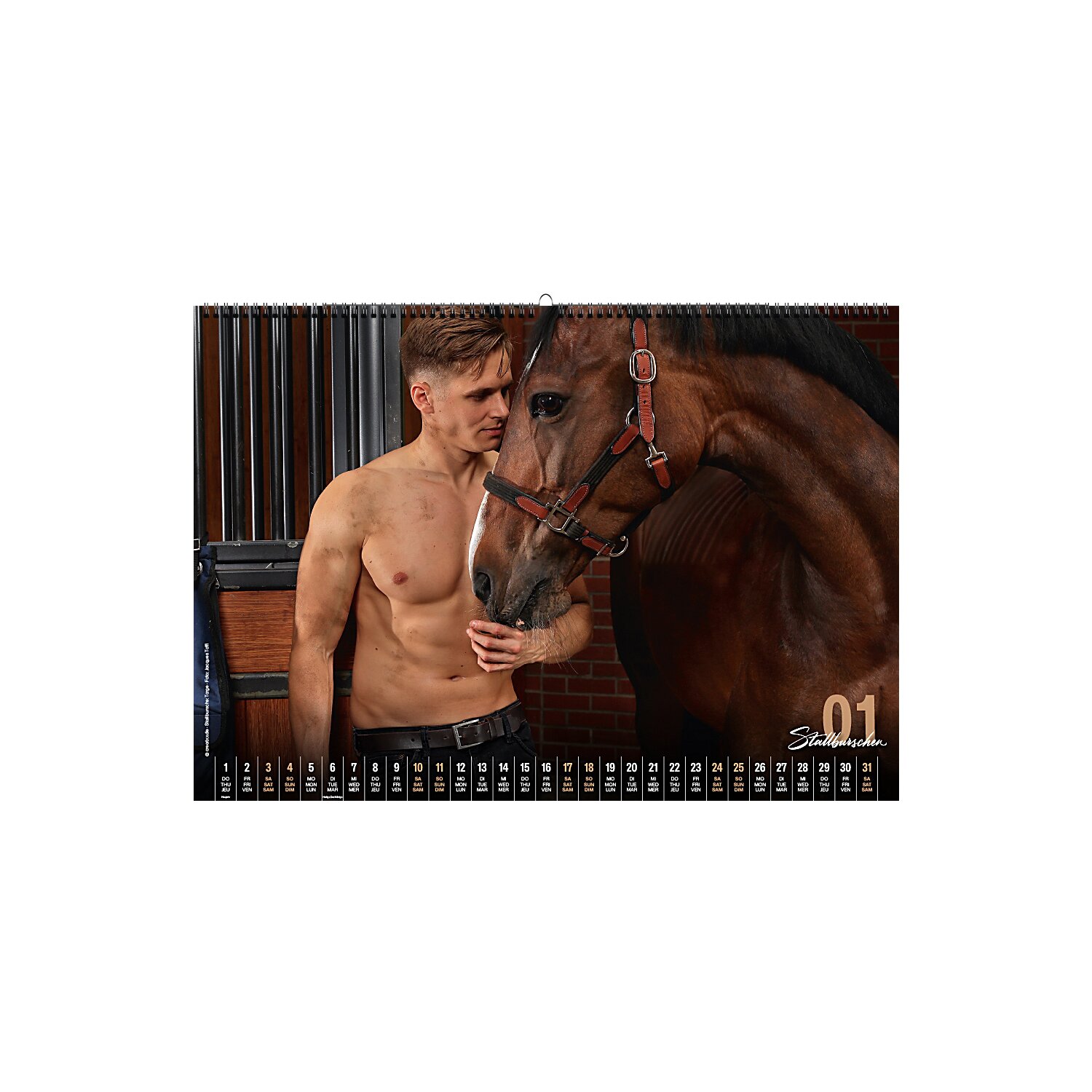 Stallburschen-Kalender – Ansicht 2