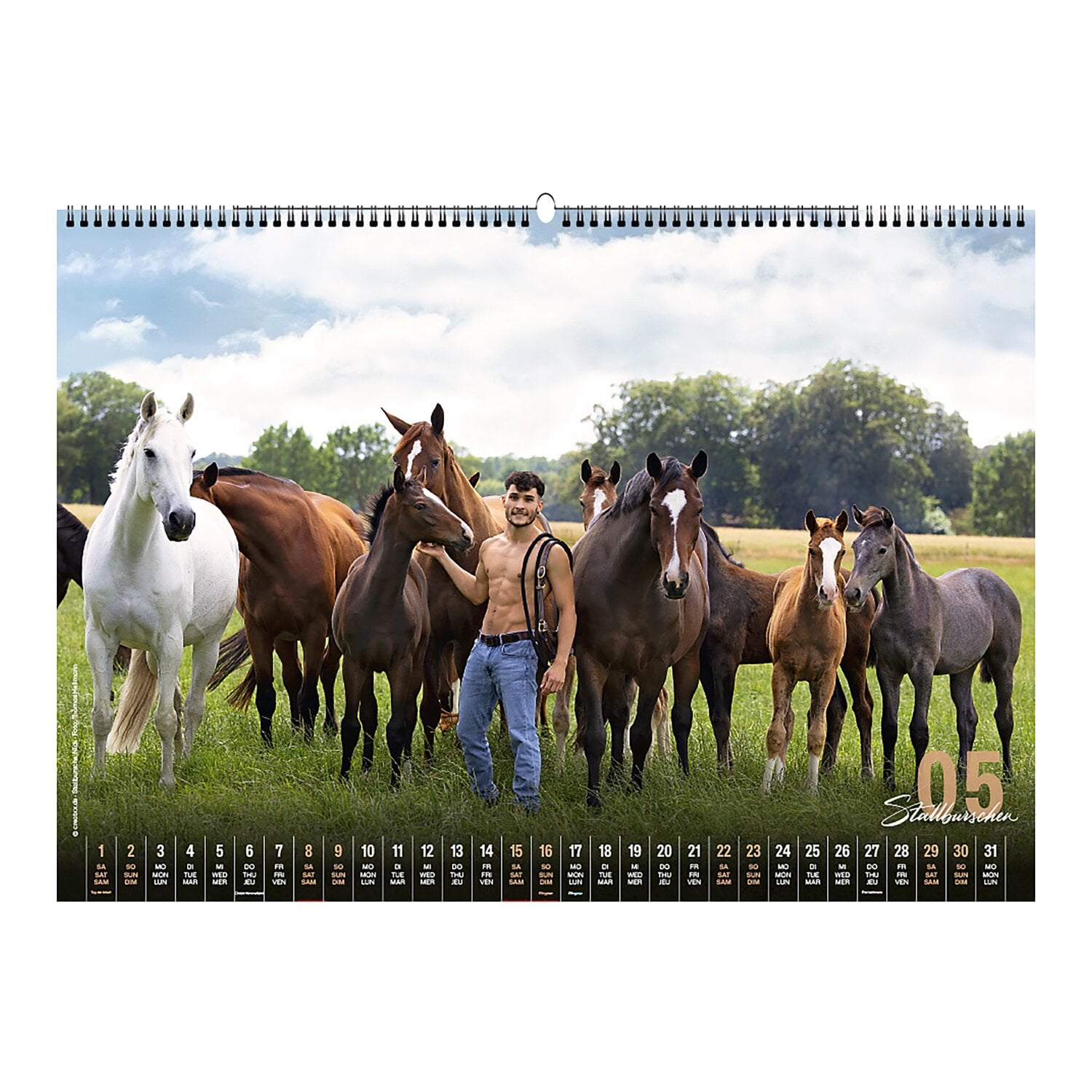 Stallburschen-Kalender &ndash; Ansicht 3