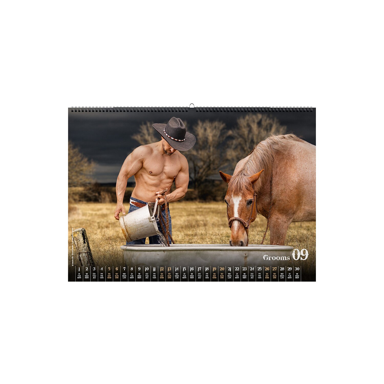 Kalender Grooms – Ansicht 5