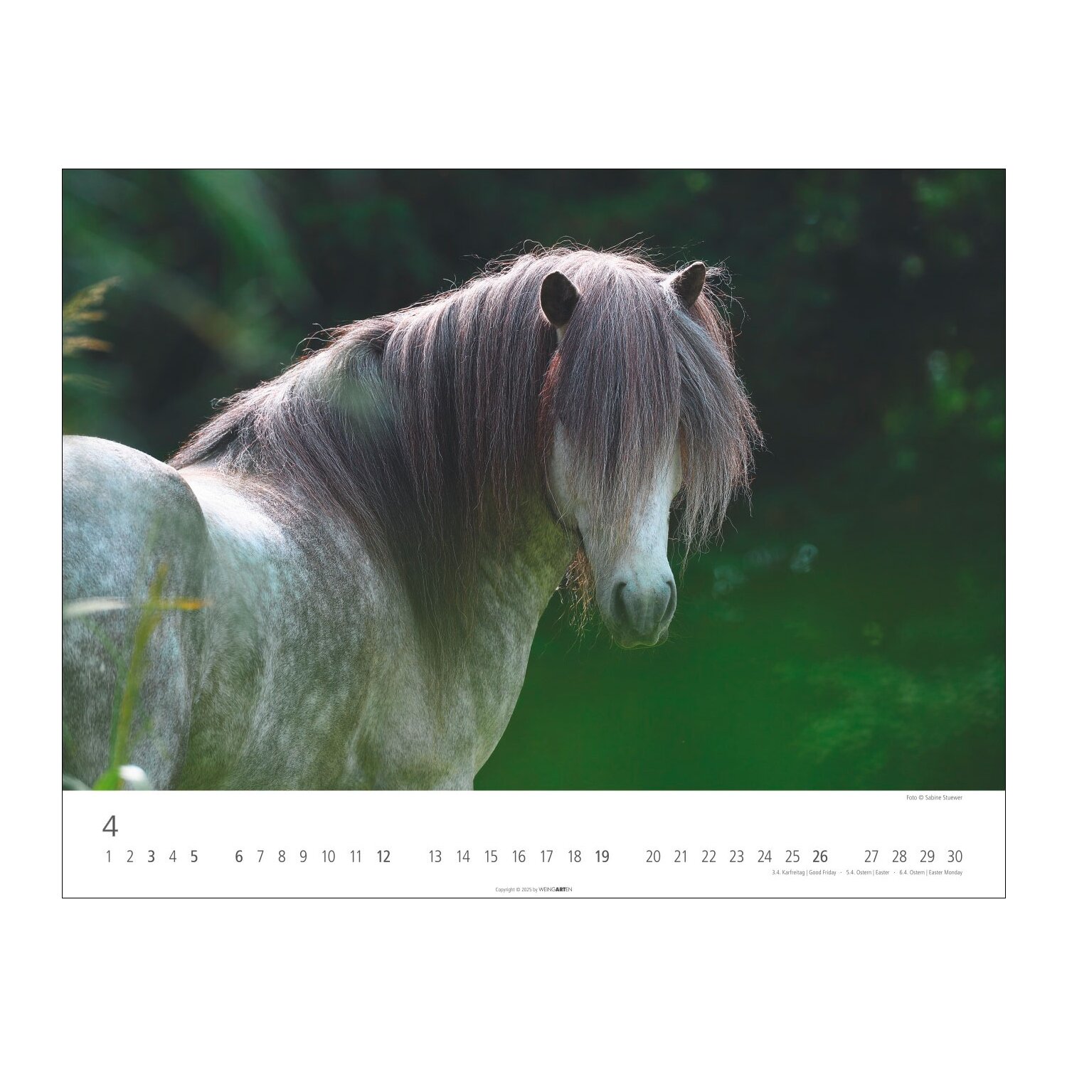 Kalender Islandpferde – Ansicht 3