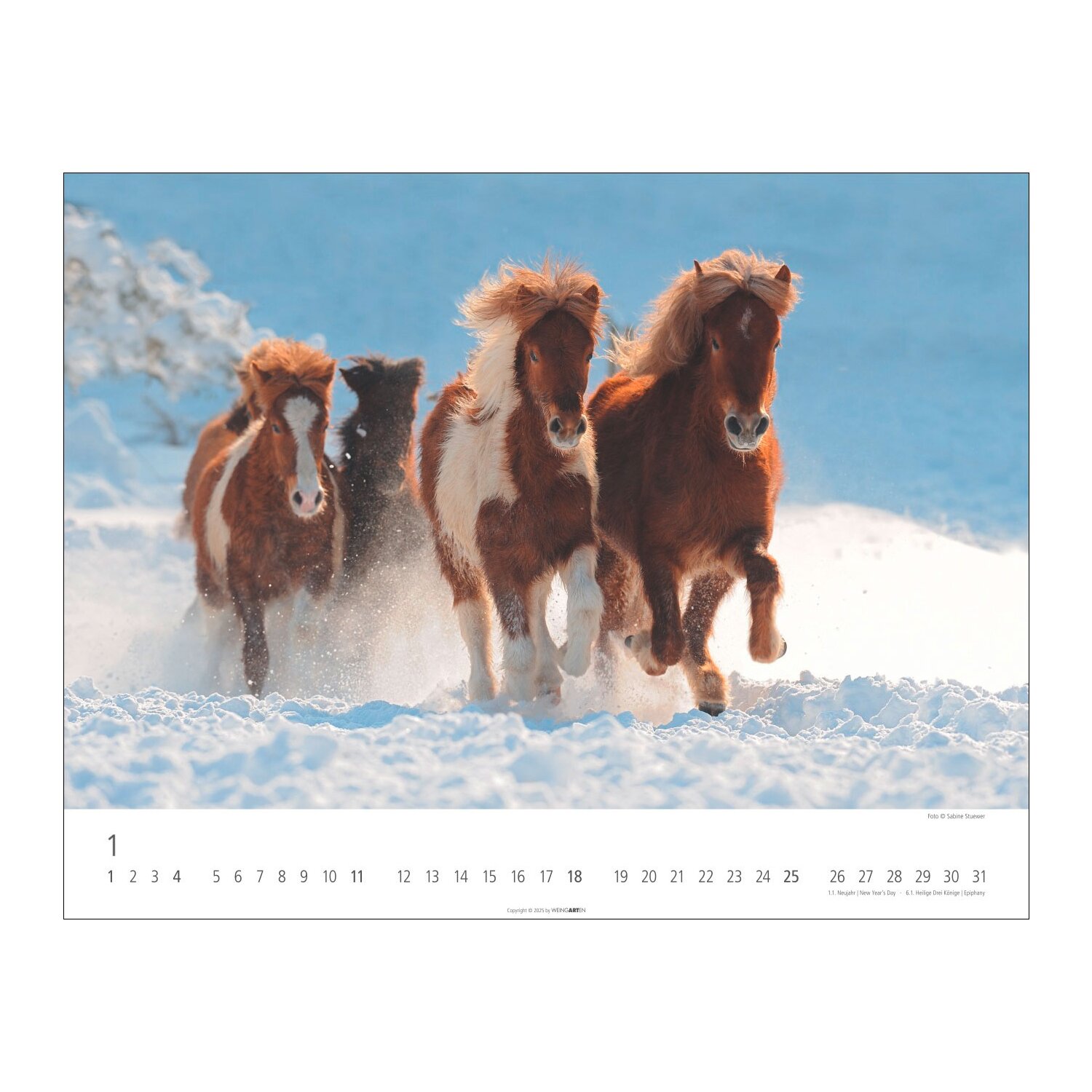 Kalender Islandpferde – Ansicht 2