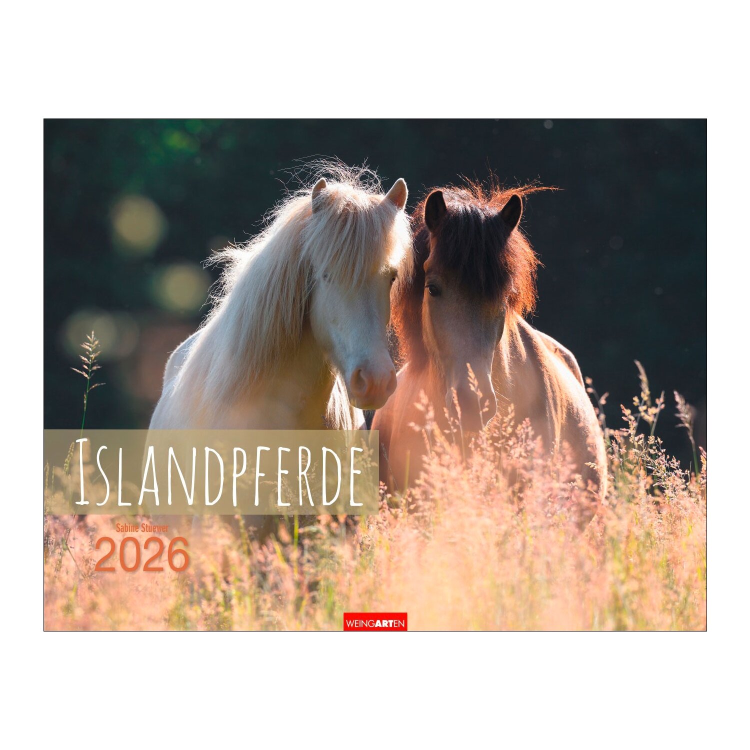 Kalender Islandpferde – Ansicht 1