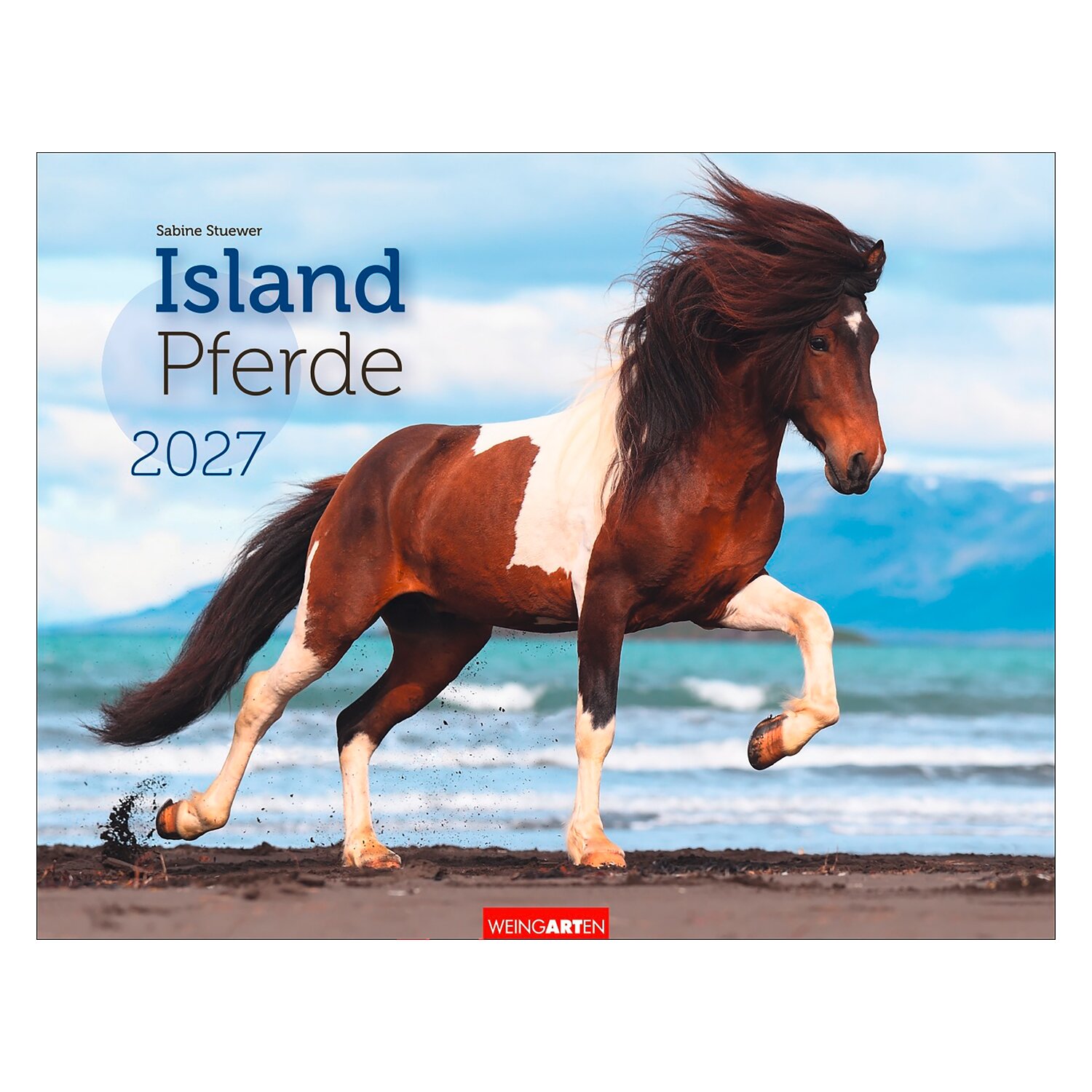 Kalender Islandpferde &ndash; Ansicht 1