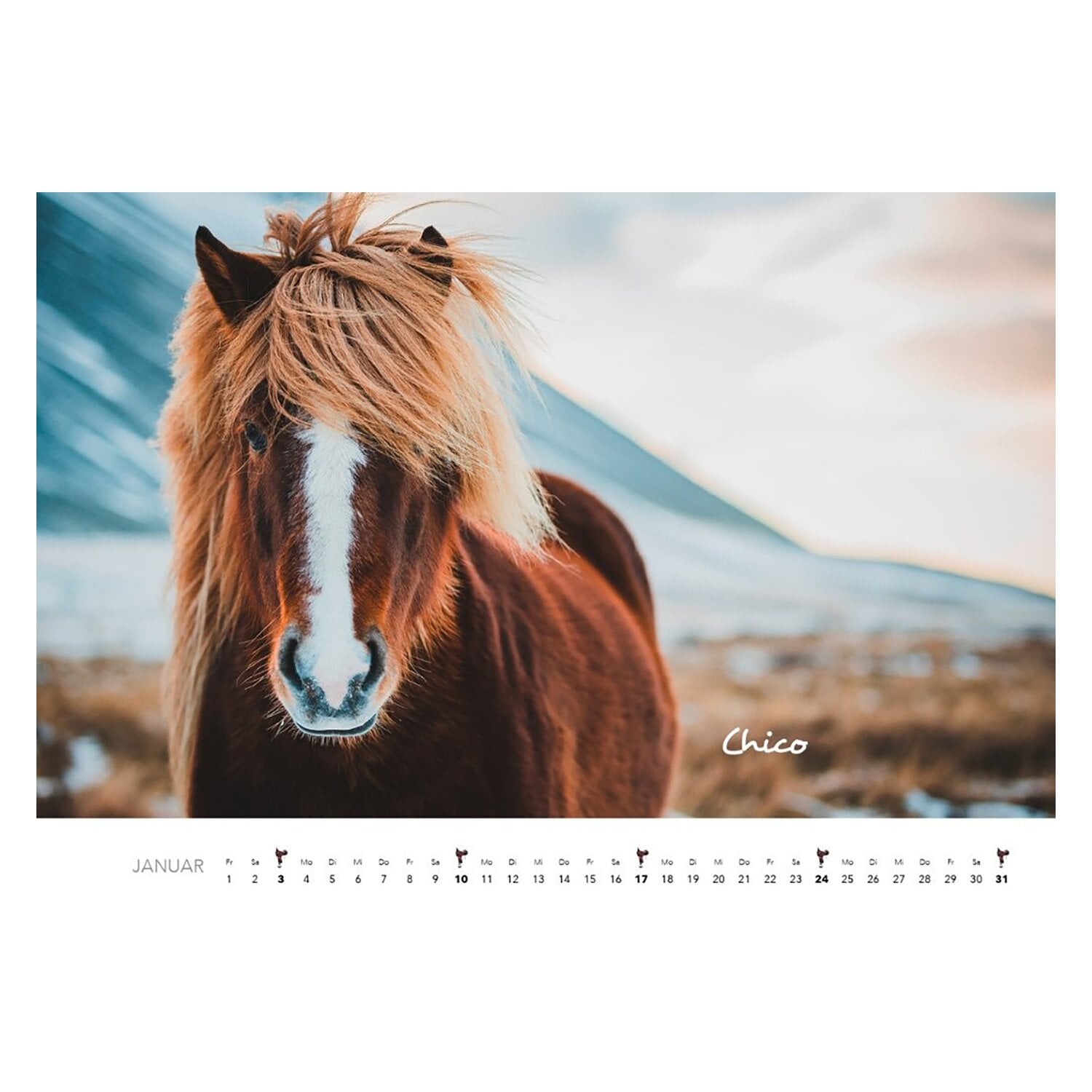 Kalender Pferde &ndash; Ansicht 2