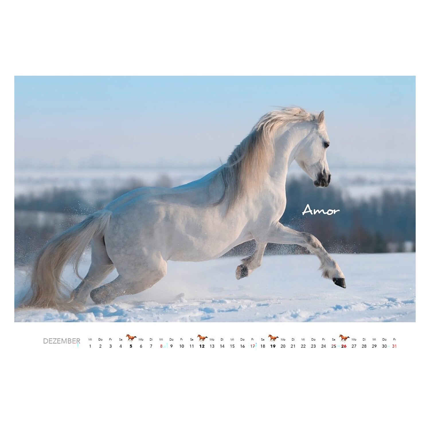 Kalender Pferde &ndash; Ansicht 6