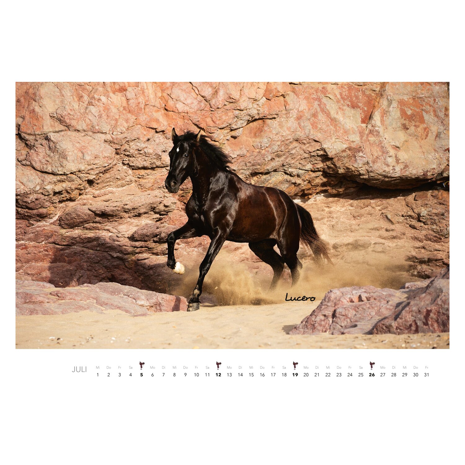 Kalender Pferde – Ansicht 5