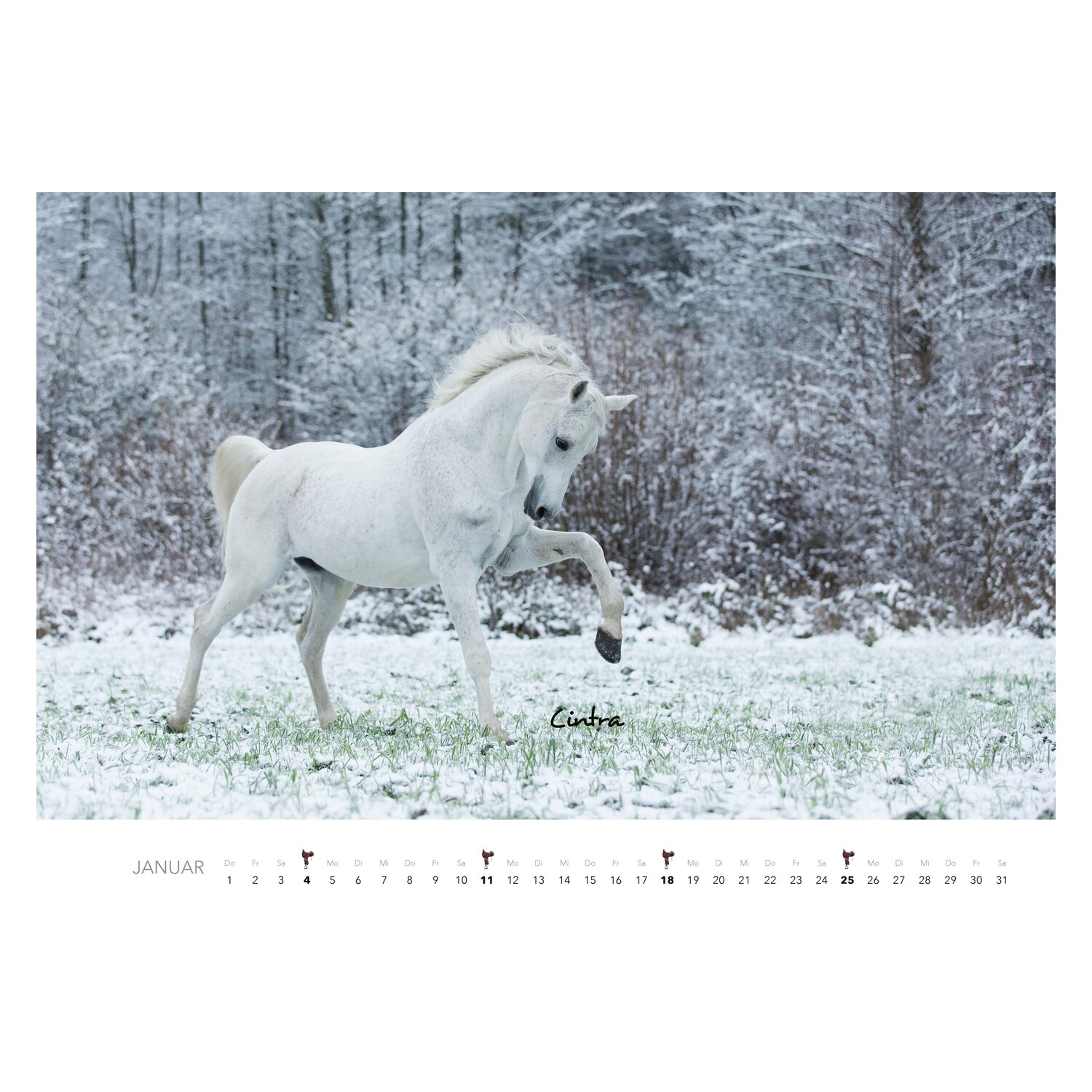 Kalender Pferde – Ansicht 2