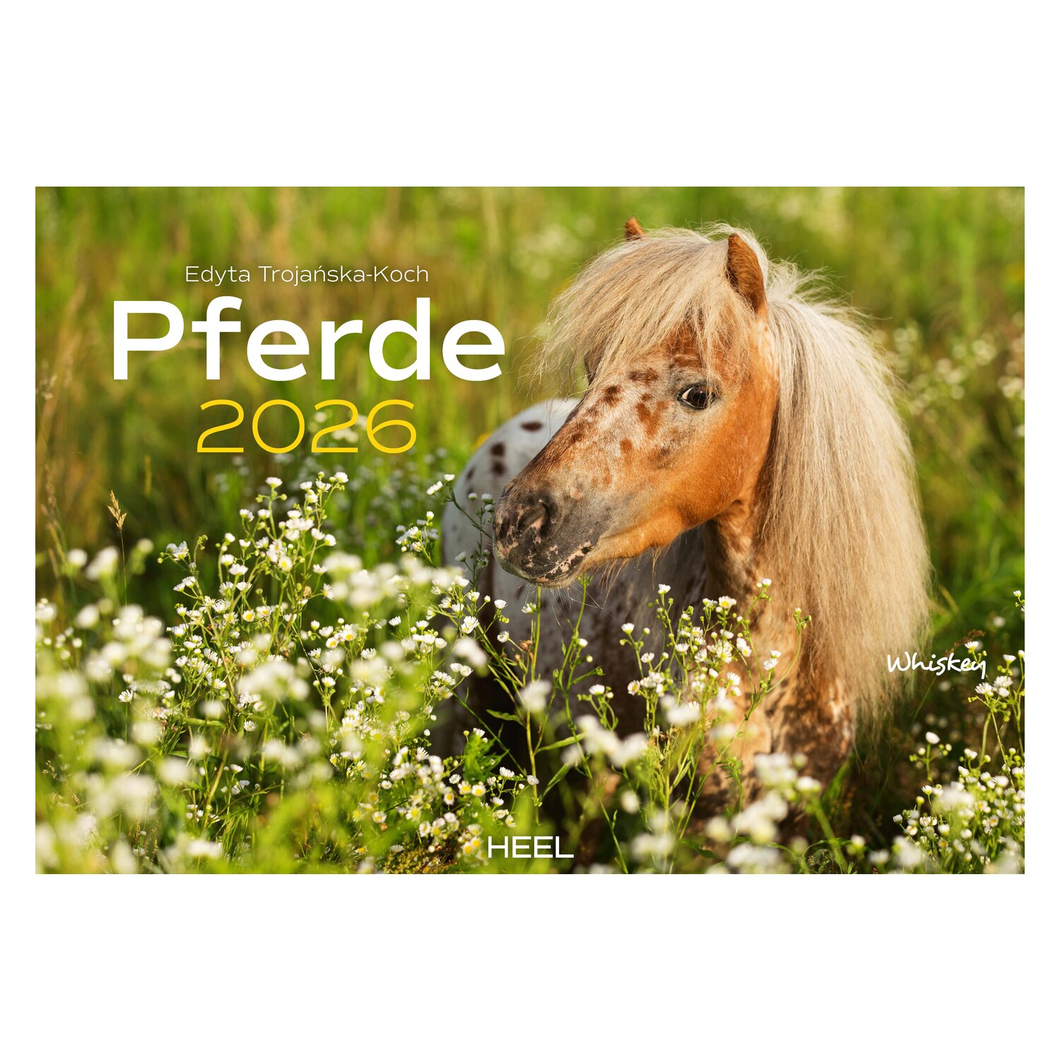 Kalender Pferde – Ansicht 1