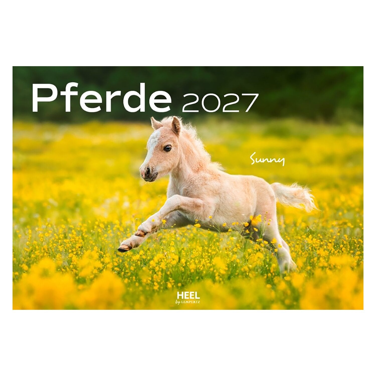 Kalender Pferde &ndash; Ansicht 1