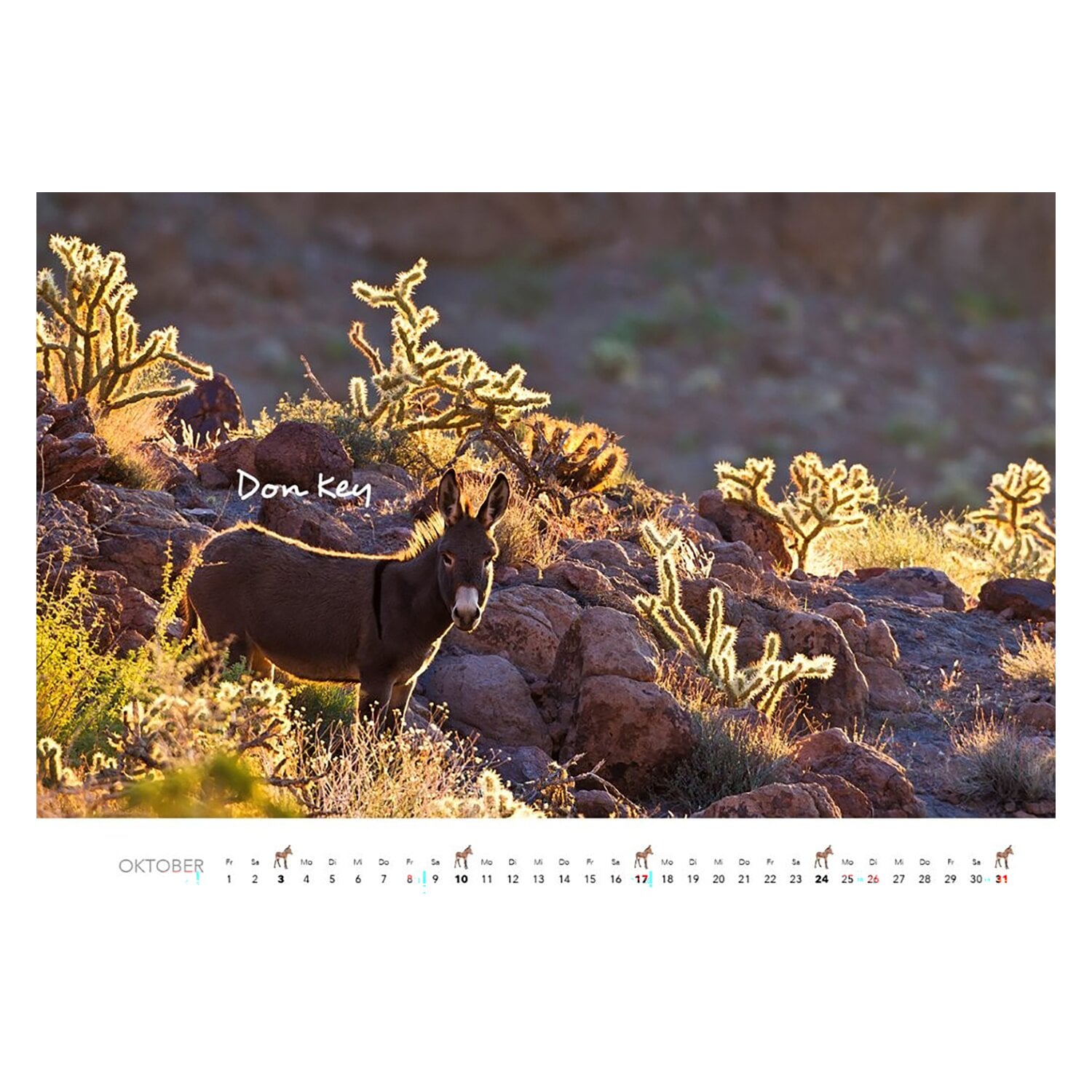 Kalender Esel &ndash; Ansicht 4