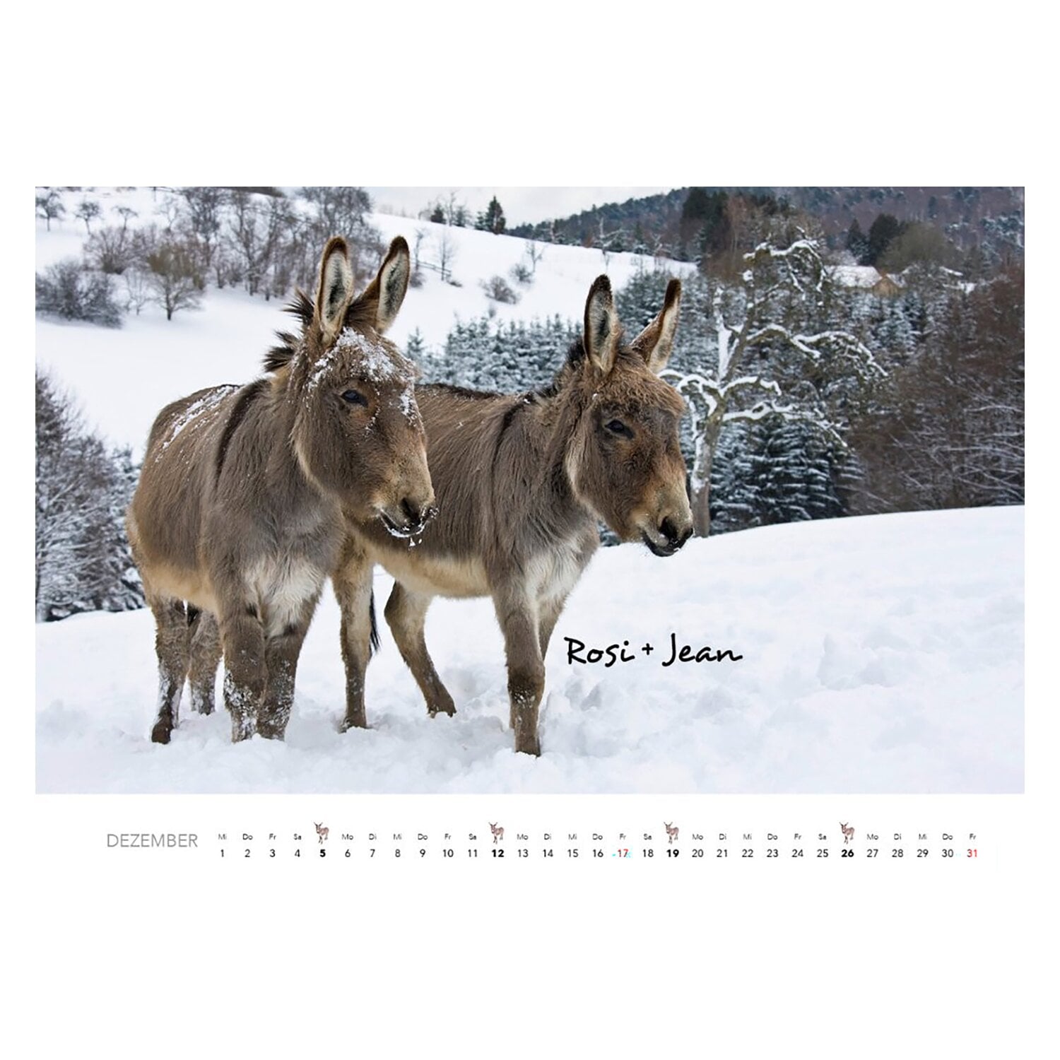 Kalender Esel &ndash; Ansicht 5