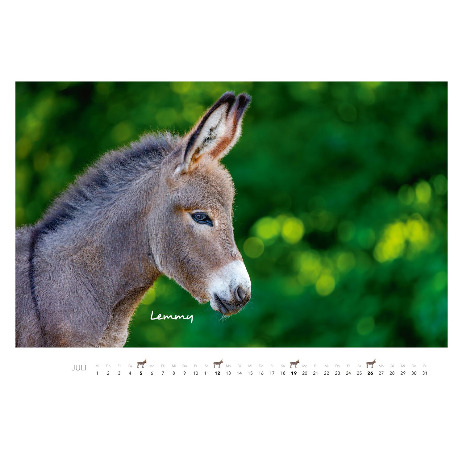 Kalender Esel – Ansicht 5