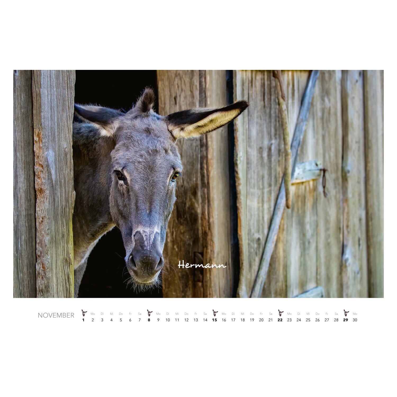 Kalender Esel – Ansicht 7