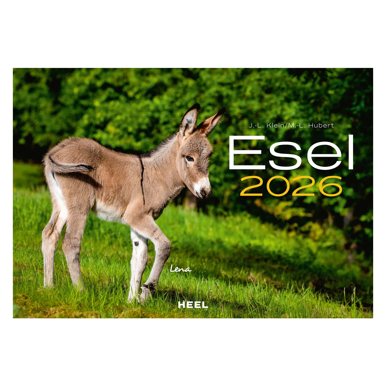Kalender Esel – Ansicht 1