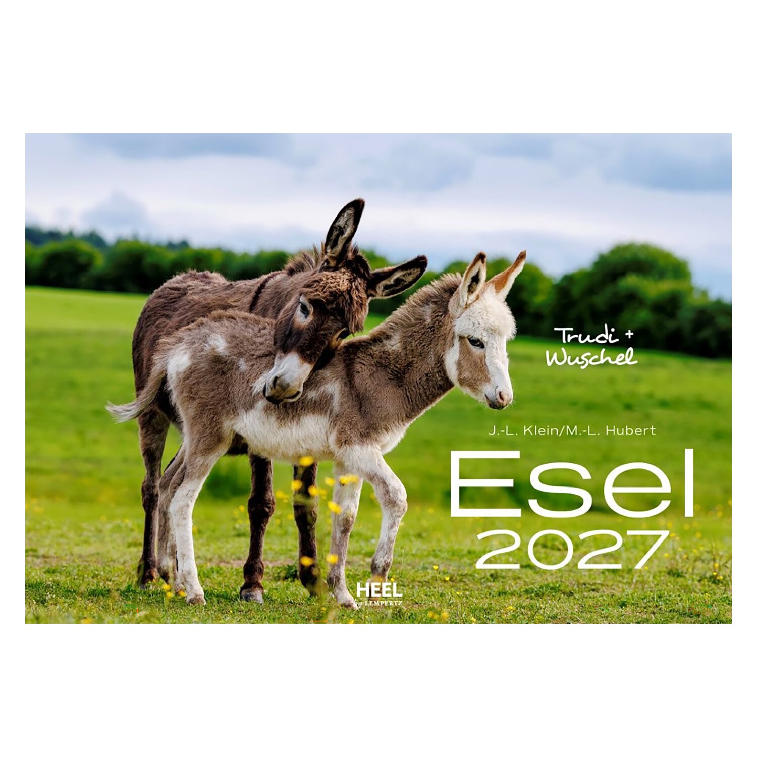 Kalender Esel &ndash; Ansicht 1