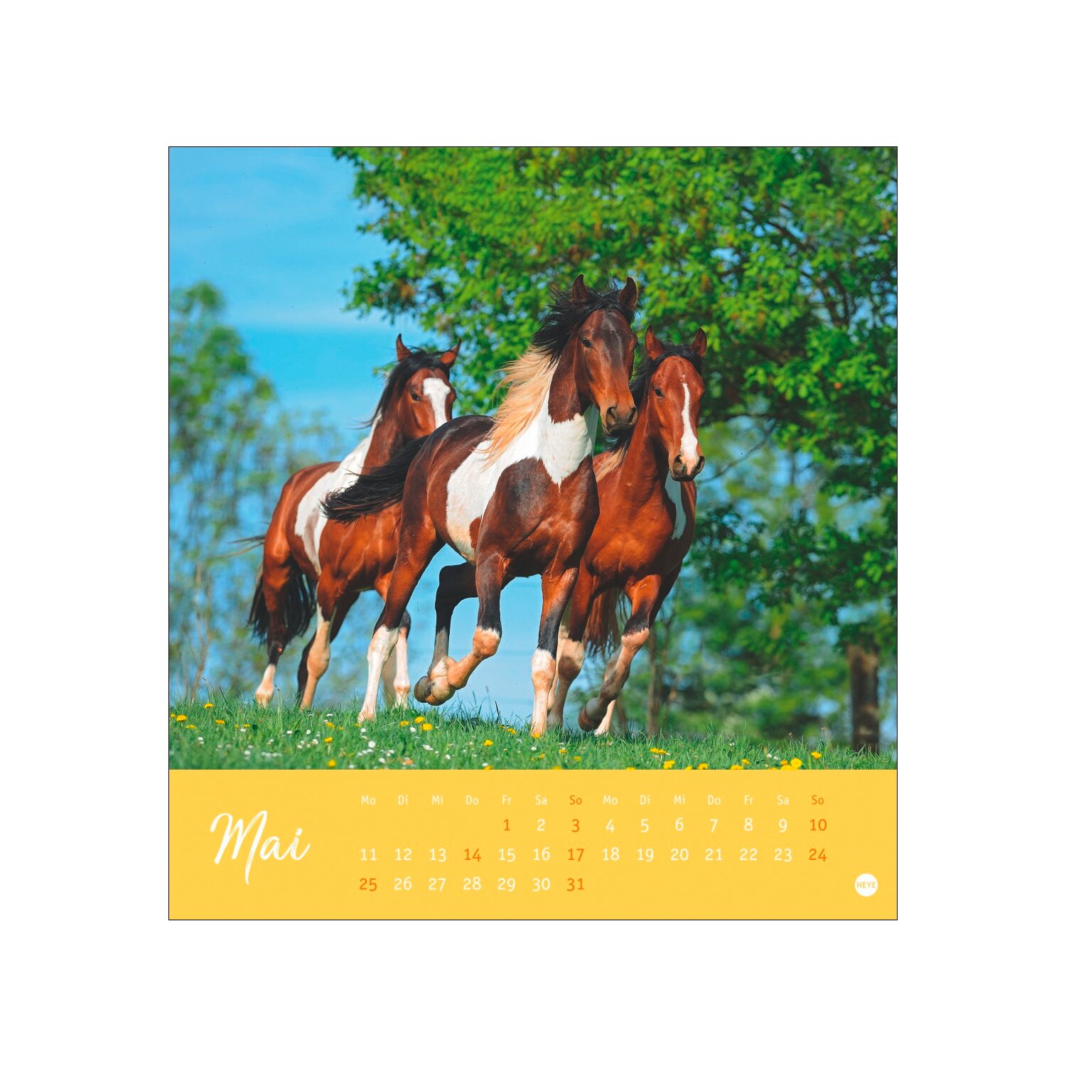 Postkartenkalender Pferde 2025 - Starke Freunde – Ansicht 4