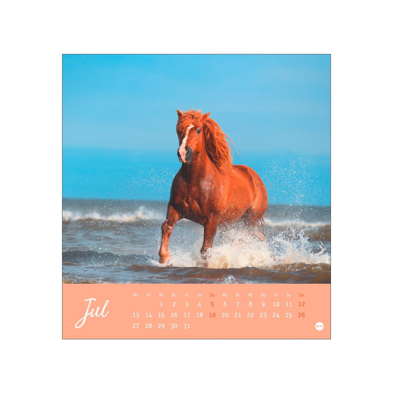 Postkartenkalender Pferde 2025 - Starke Freunde – Ansicht 5