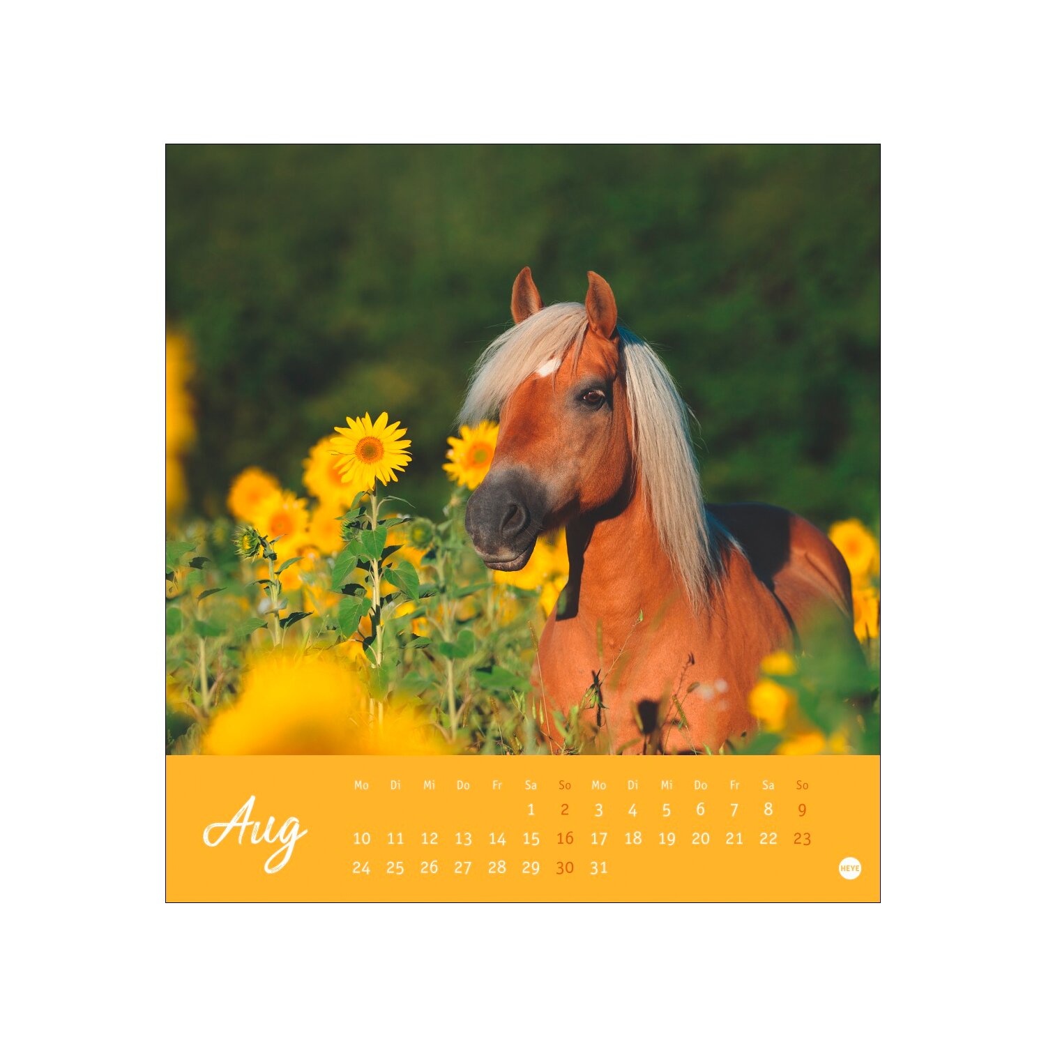 Postkartenkalender Pferde 2025 - Starke Freunde – Ansicht 6