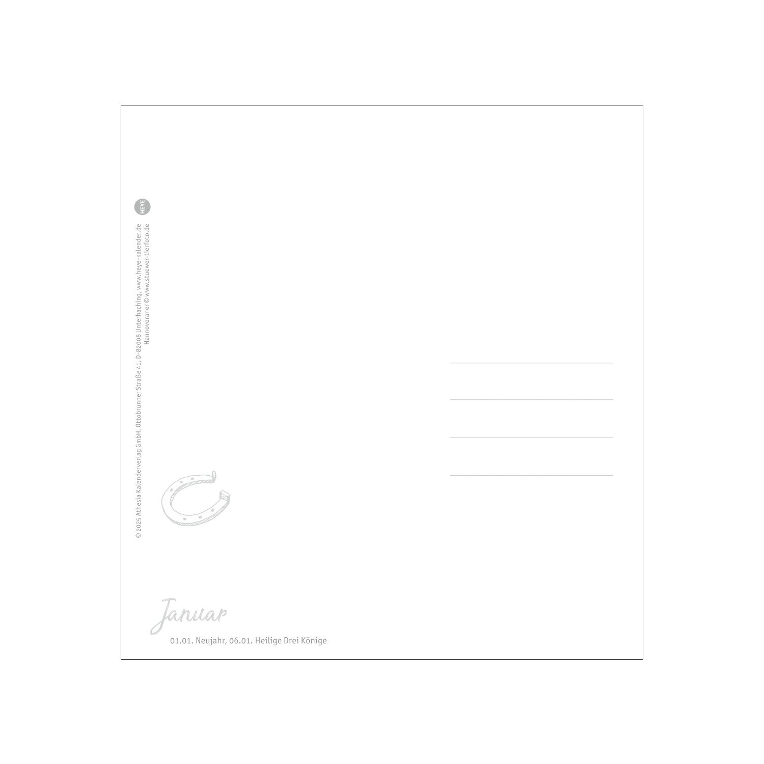 Postkartenkalender Pferde 2025 - Starke Freunde – Ansicht 7