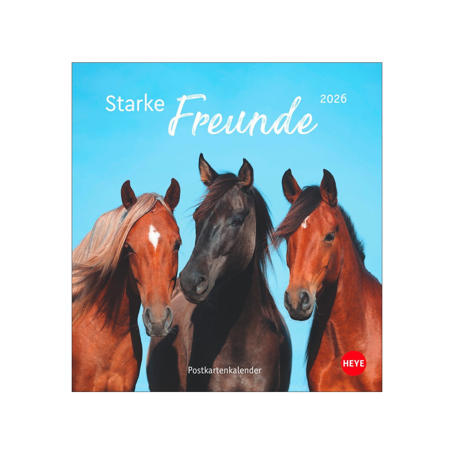 Postkartenkalender Pferde 2025 - Starke Freunde – Ansicht 1