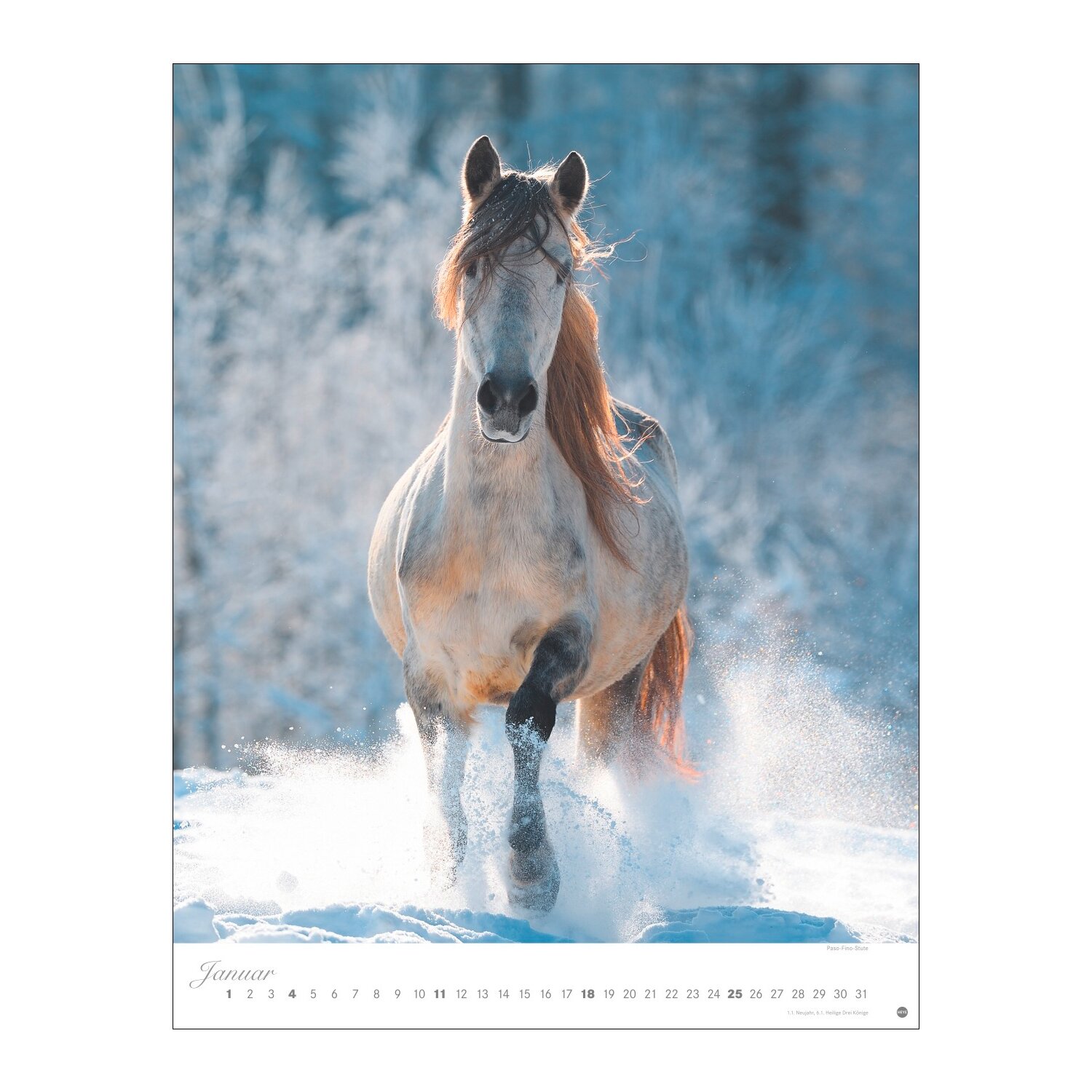Posterkalender Pferde Classics 2026 – Ansicht 2