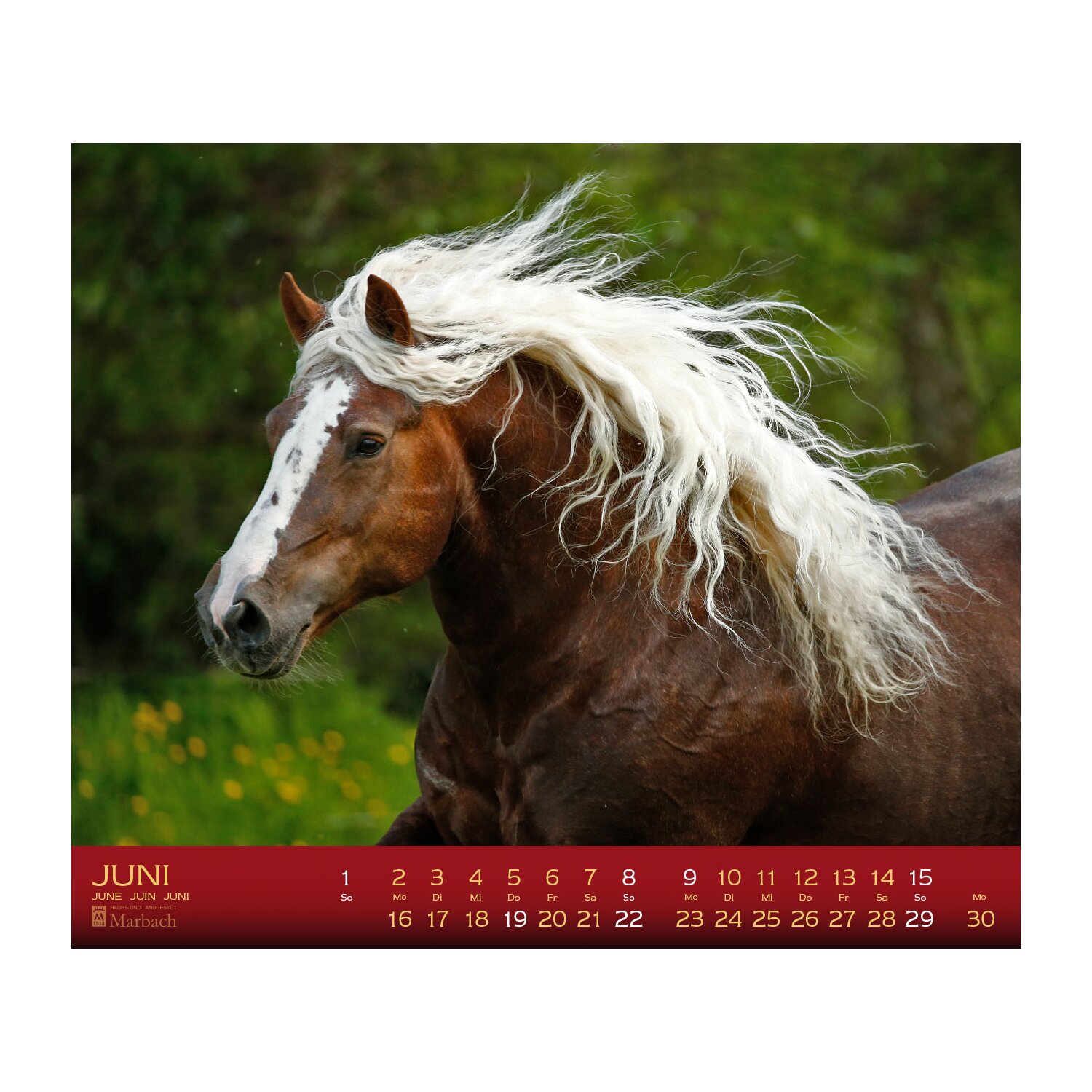Kalender Haupt- & Landgestüt Marbach – Ansicht 3