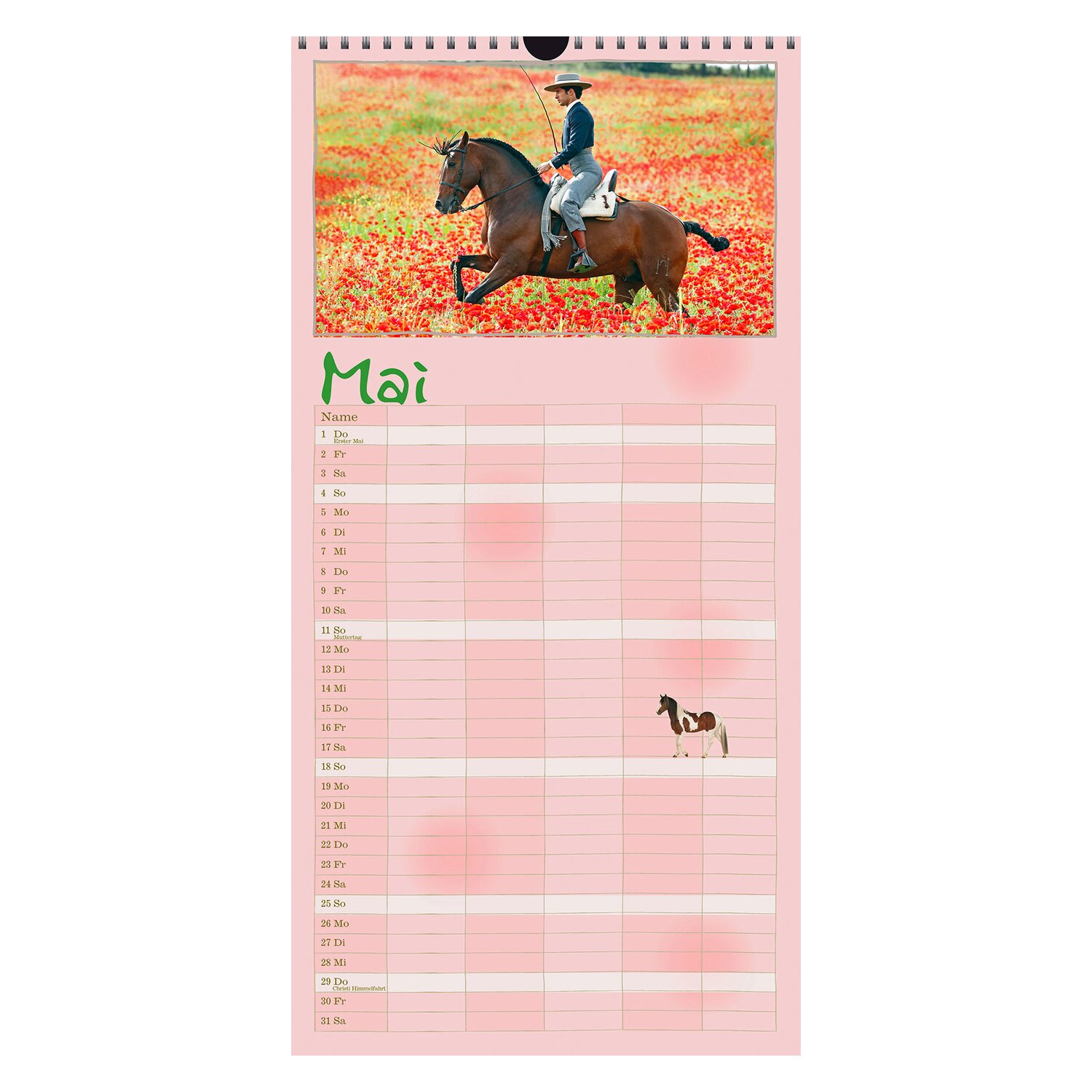 Familienplaner Pferdeglück - Edition Boiselle 2026 – Ansicht 4
