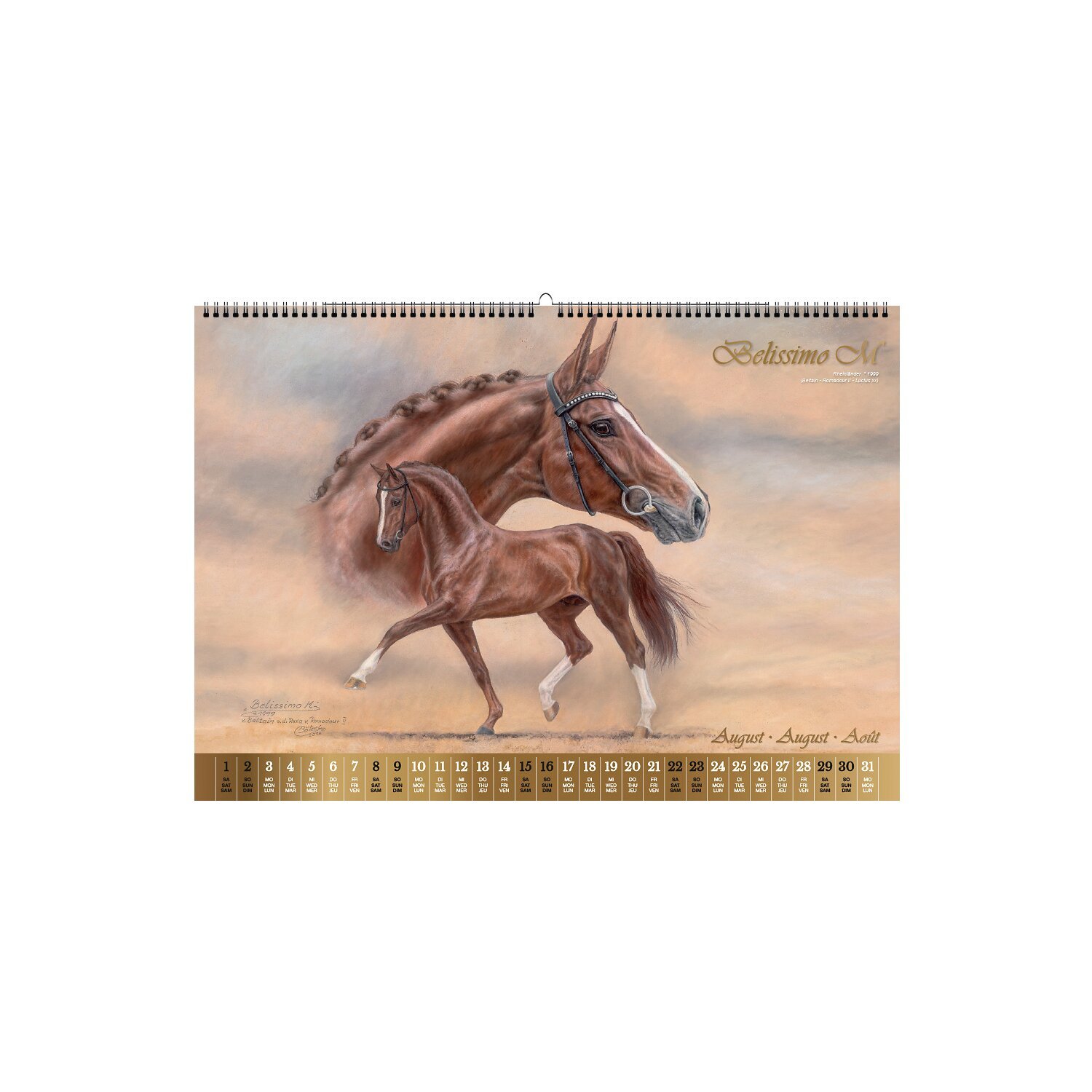 Kalender Vererberlegenden 2026 – Ansicht 4