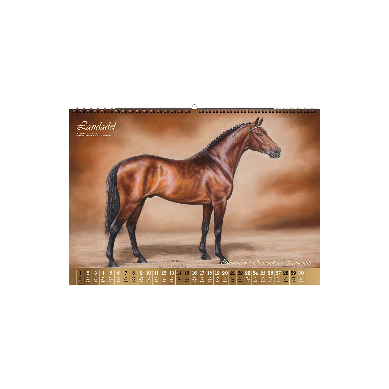 Kalender Vererberlegenden 2026 – Ansicht 5