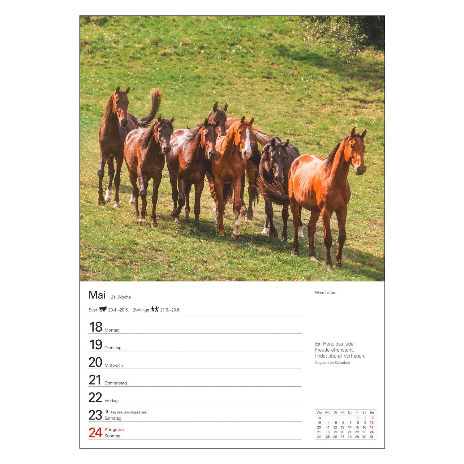 Wochenplaner Pferde – Ansicht 2
