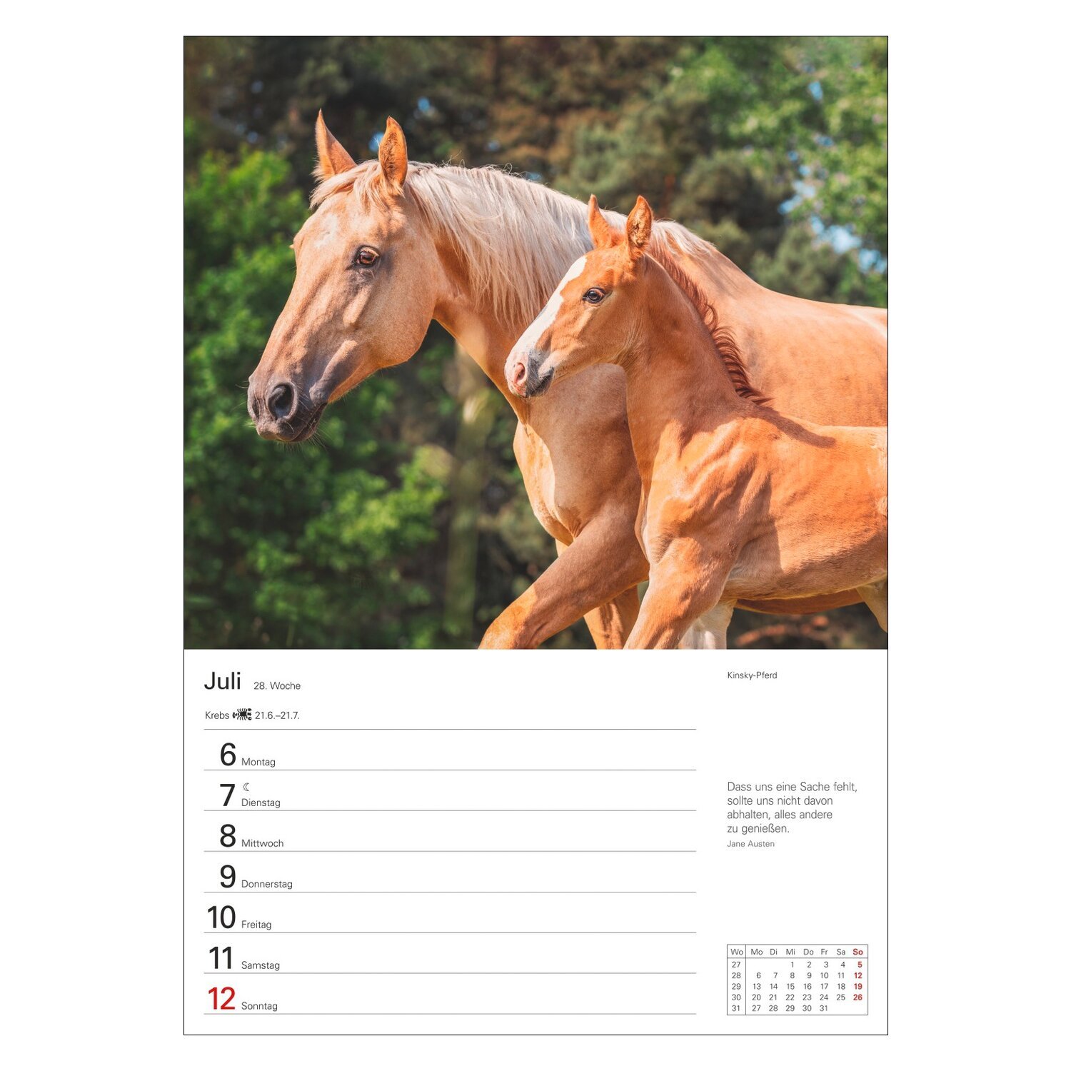 Wochenplaner Pferde – Ansicht 4