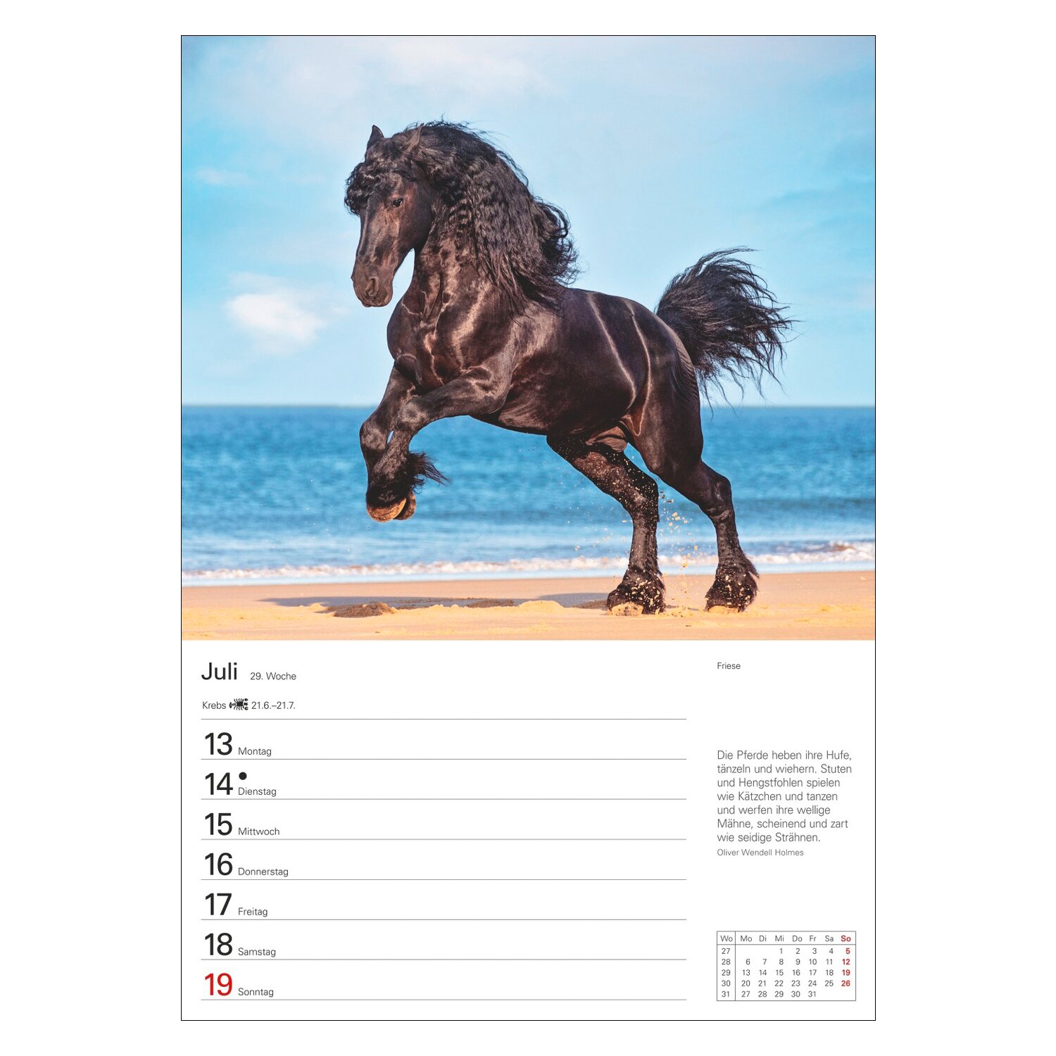 Wochenplaner Pferde – Ansicht 5
