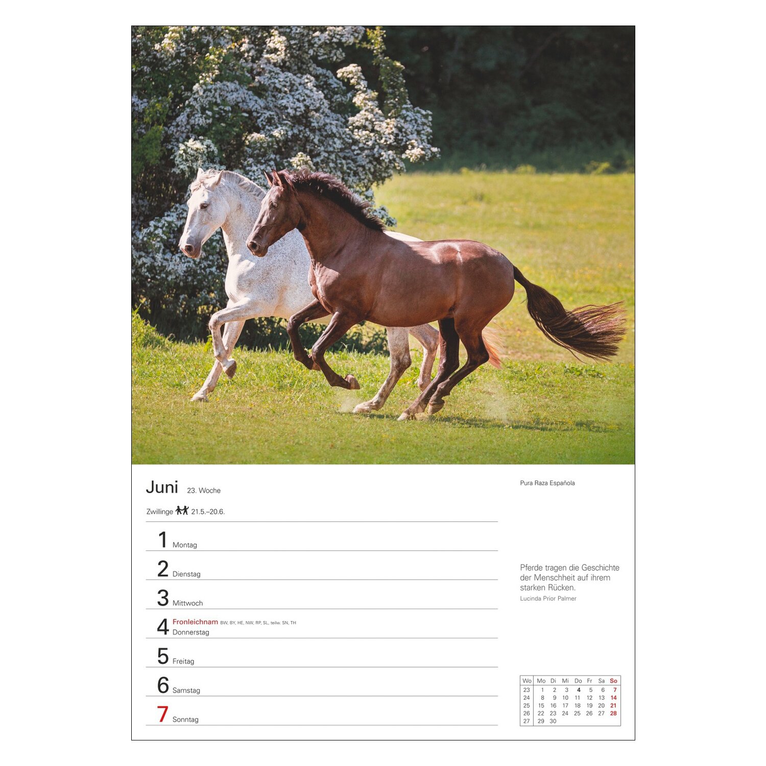 Wochenplaner Pferde – Ansicht 3